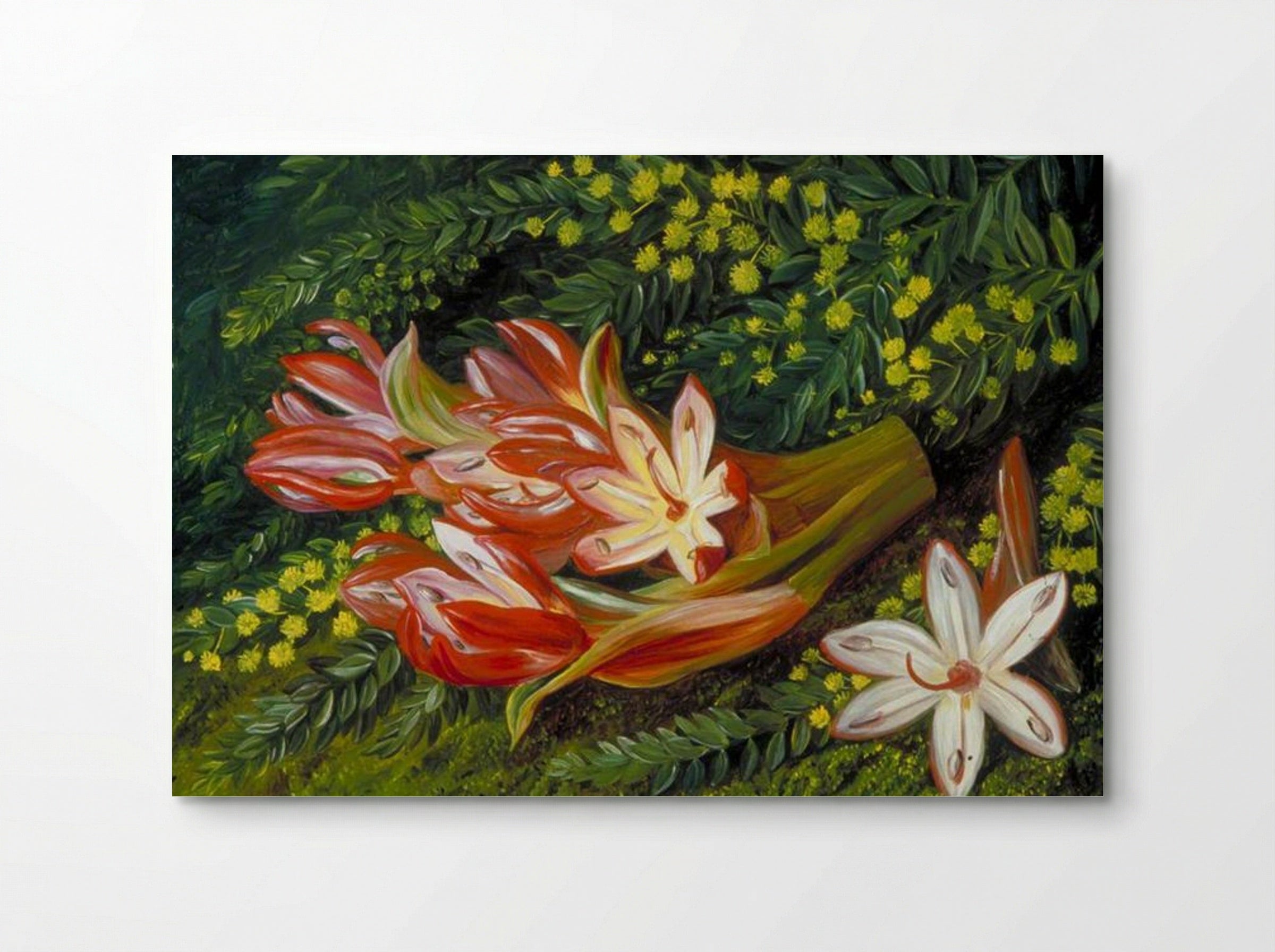 Australian Spear Lily and an Acacia - Marianne North - Poster