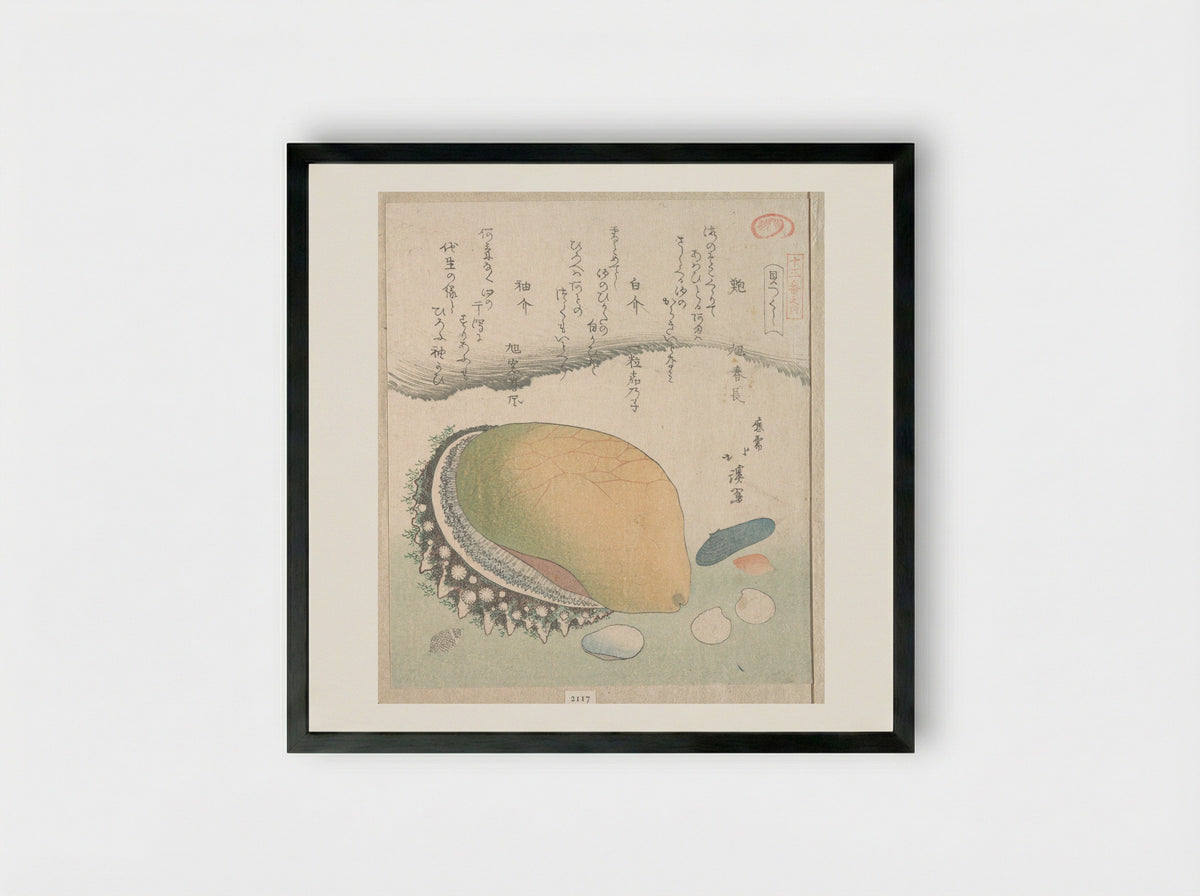Awabi (Ear-Shell) and Various Shells - Totoya Hokkei - Framed Print Black