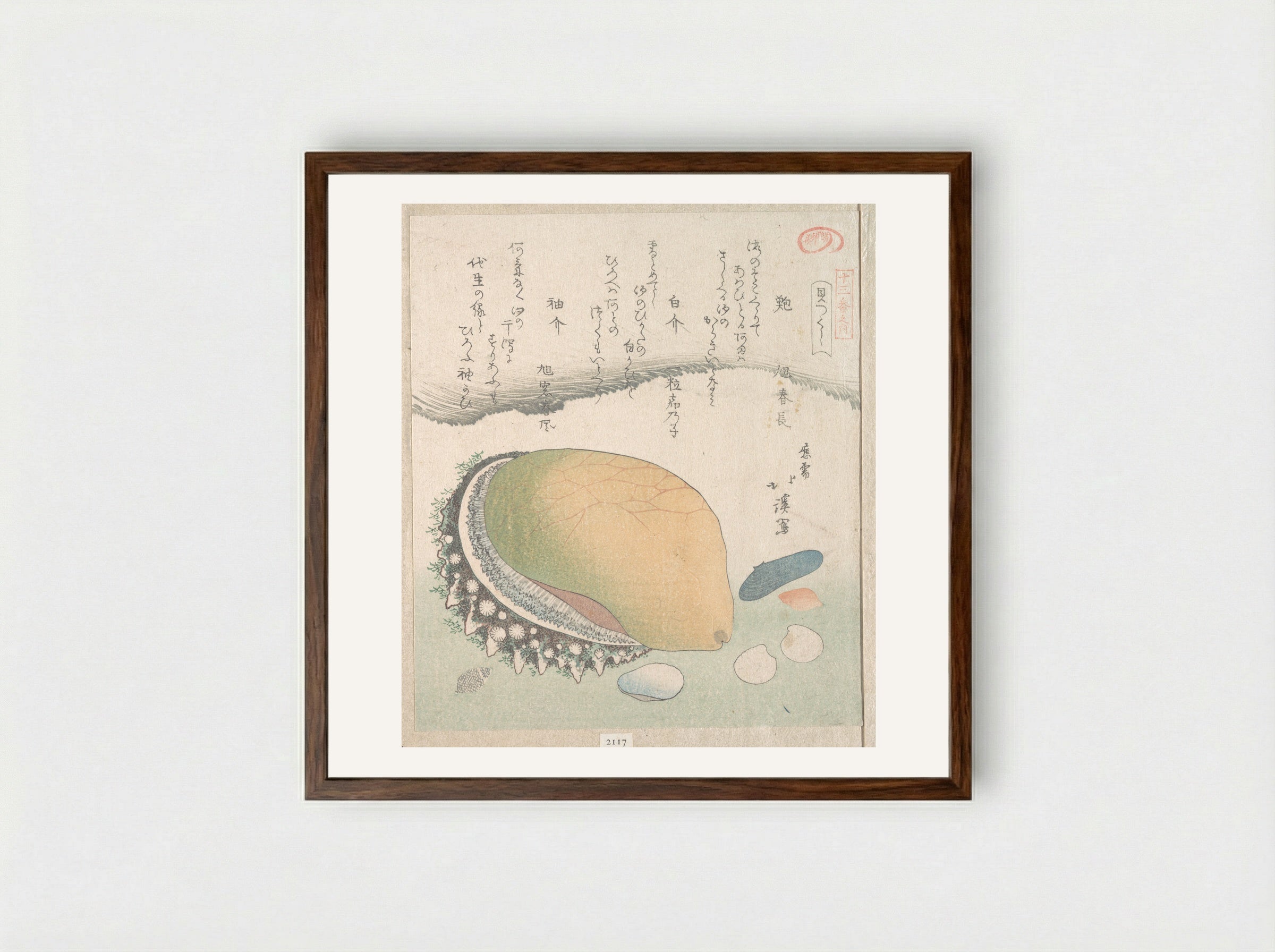 Awabi (Ear-Shell) and Various Shells - Totoya Hokkei - Framed Print Dark Wood