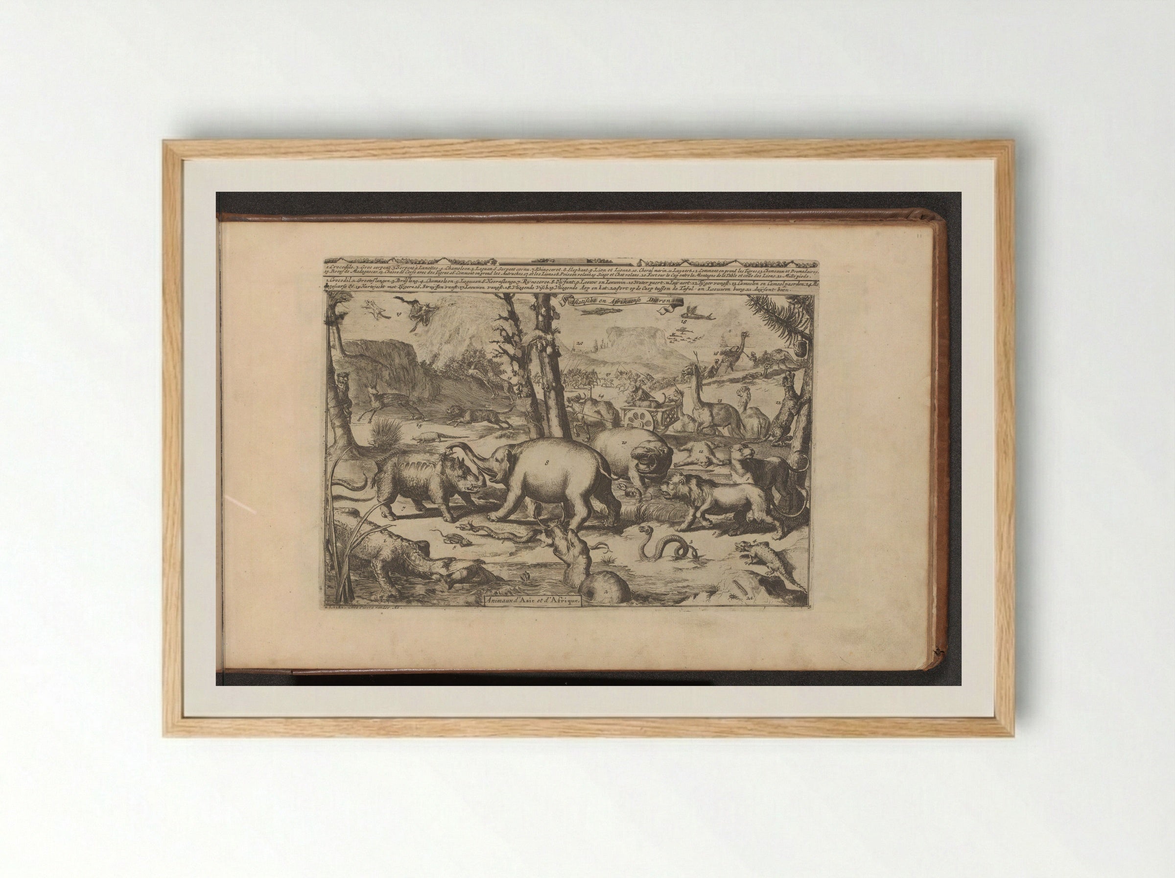 Aziatische en Afrikaanse dieren - Romeyn de Hooghe - Framed Print Wood