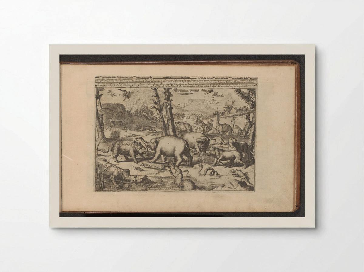 Aziatische en Afrikaanse dieren - Romeyn de Hooghe - Poster