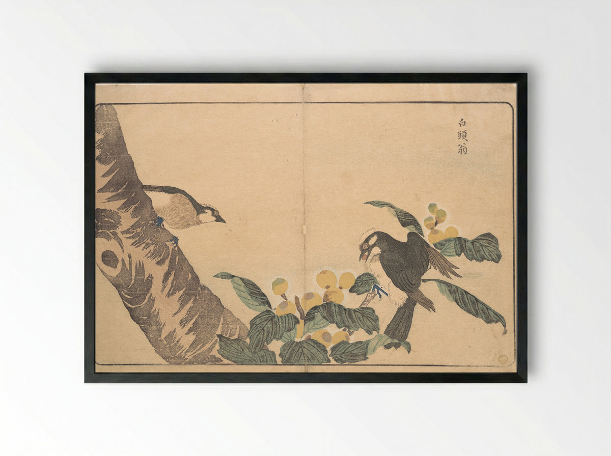 Bai tou weng - Kuwagata Keisai - Framed Print Black