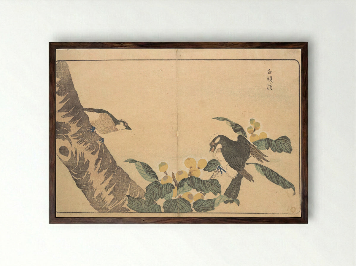 Bai tou weng - Kuwagata Keisai - Framed Print Dark Wood