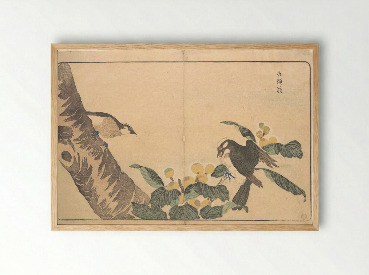 Bai tou weng - Kuwagata Keisai - Framed Print Wood