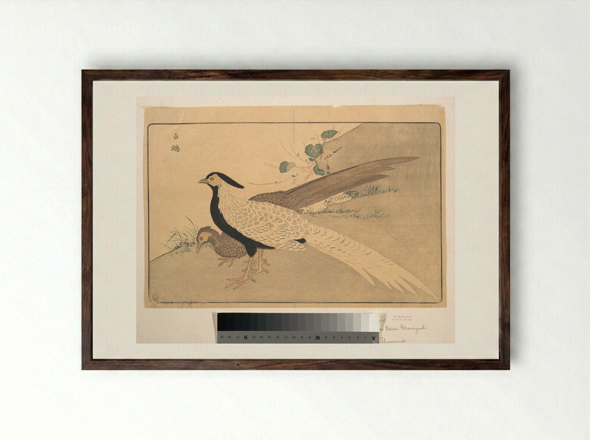 Bai xian (White Pheasant) - Kuwagata Keisai - Framed Print Dark Wood