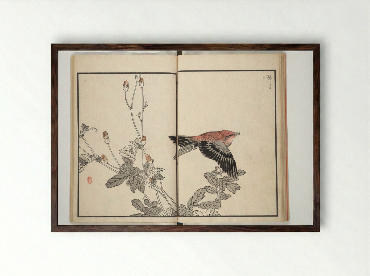 Bairei Picture Album of One Hundred Birds - Kōno Bairei - Framed Print Dark Wood