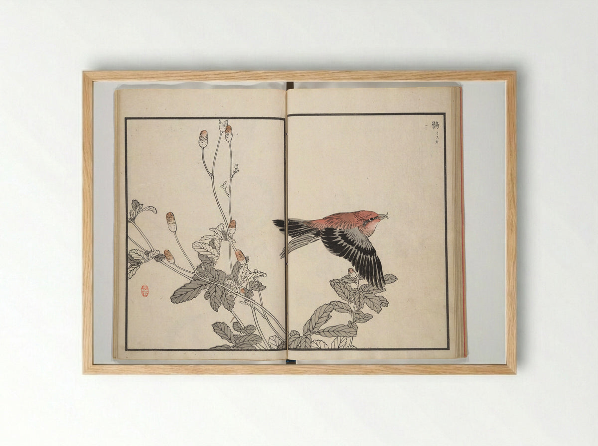 Bairei Picture Album of One Hundred Birds - Kōno Bairei - Framed Print Wood