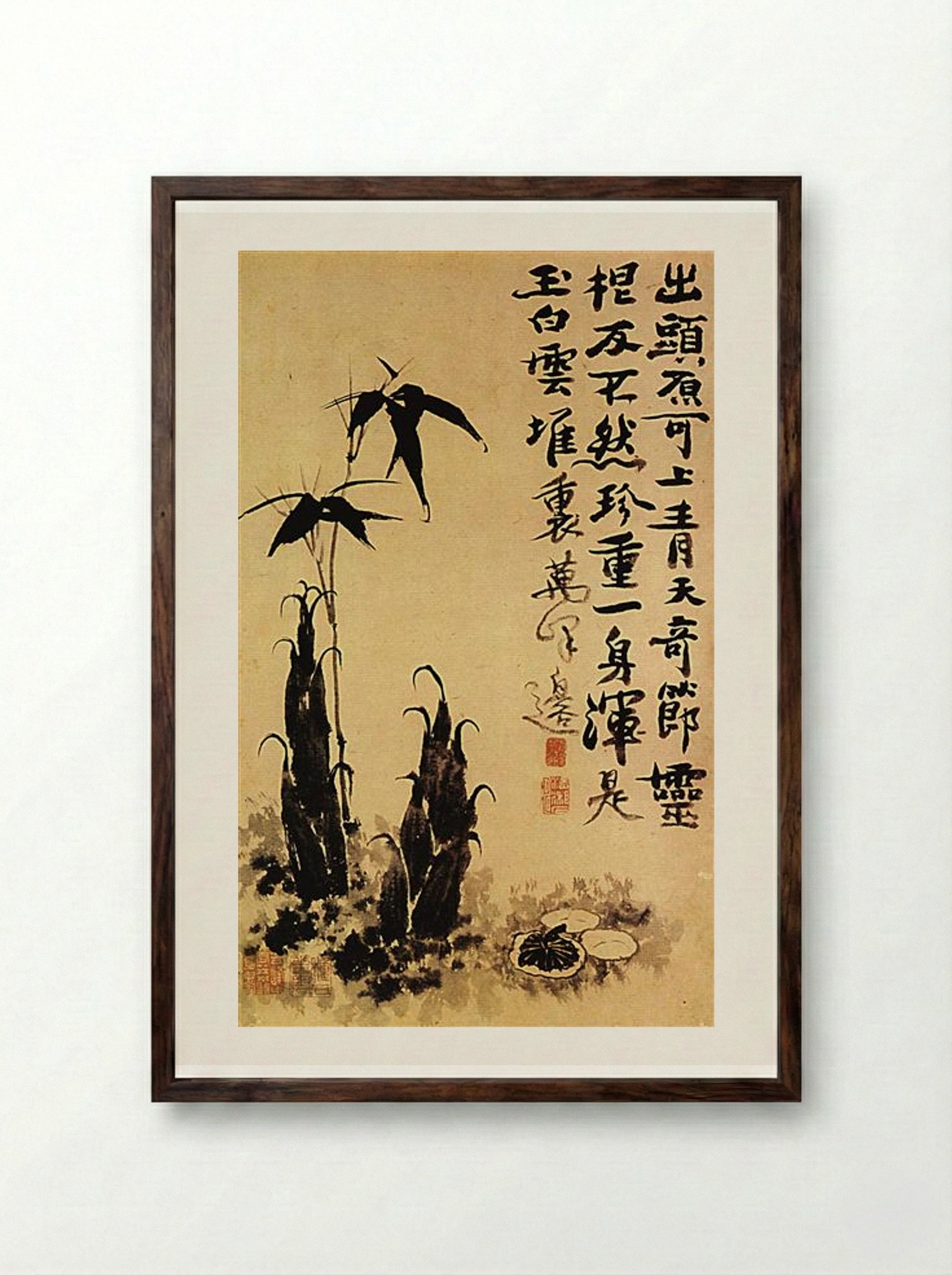 Bamboo Shoots - Shitao - Framed Print Dark Wood
