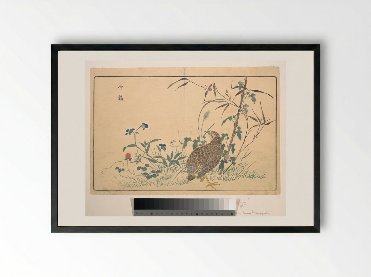 Bamboo and Bamboo Partridge - Kuwagata Keisai - Framed Print Black