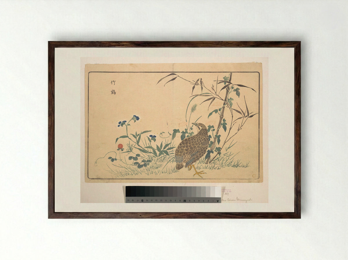 Bamboo and Bamboo Partridge - Kuwagata Keisai - Framed Print Dark Wood
