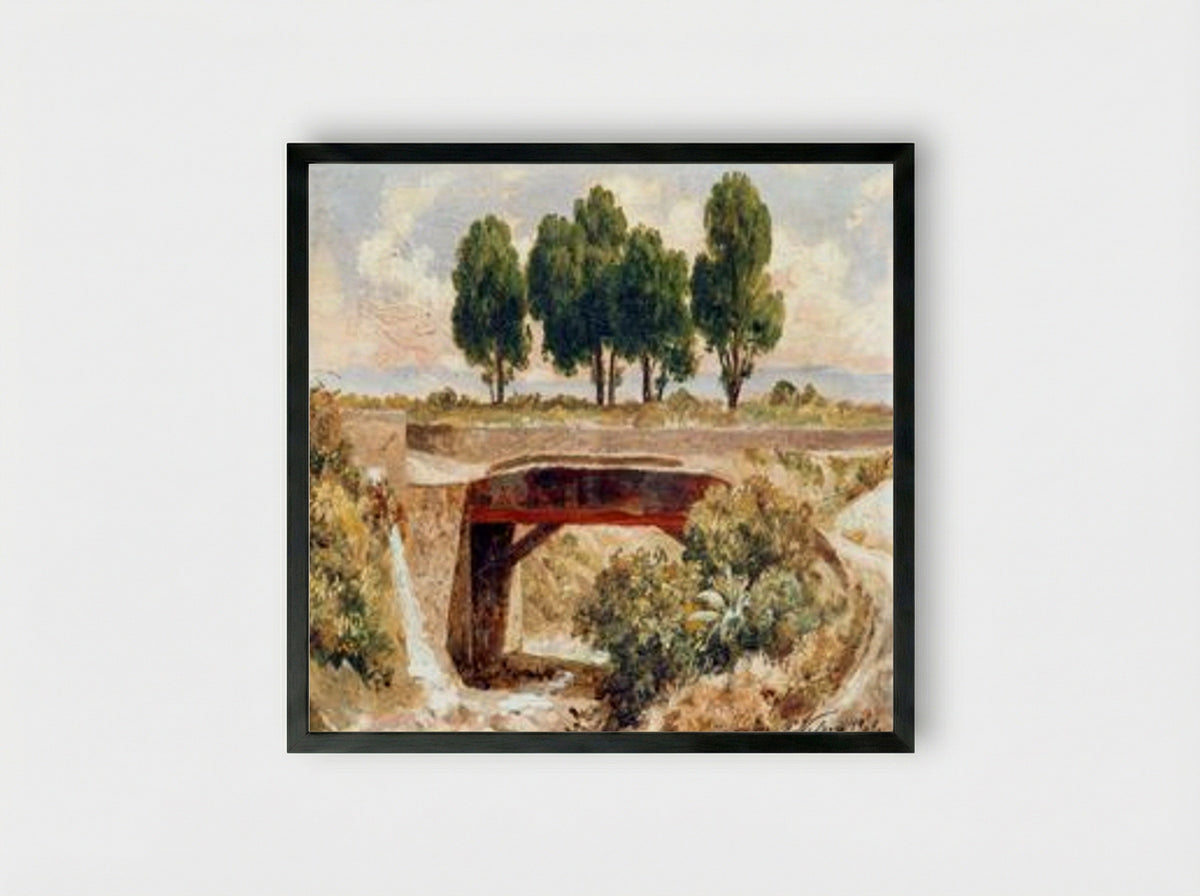 Barranca del Muerto - José María Velasco Gómez - Framed Print Black