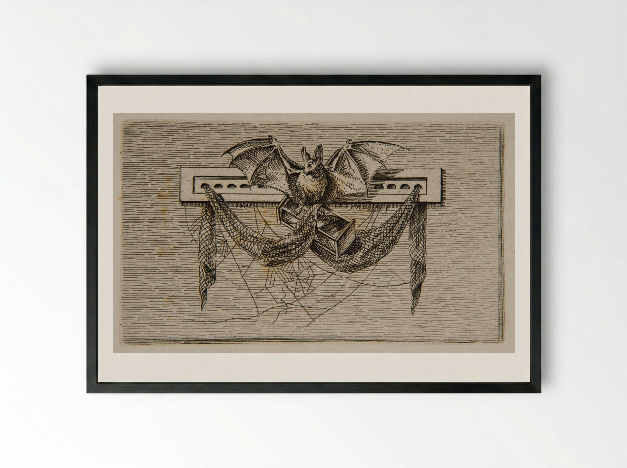 Bat (Etching) - Ferdinand Kobell - Framed Print Black