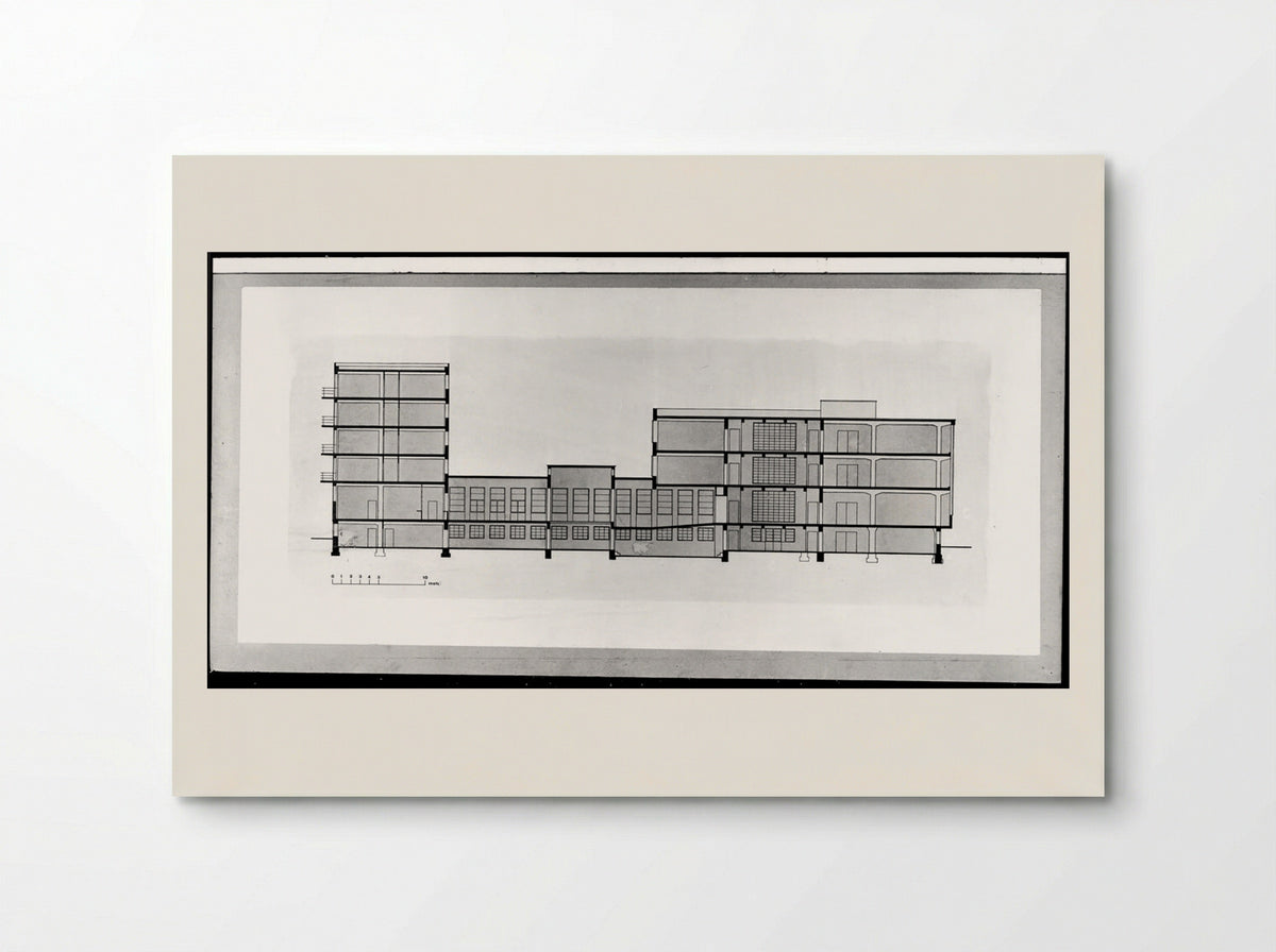 Bauhaus Building, Dessau: East-West Section - Walter Gropius - Poster