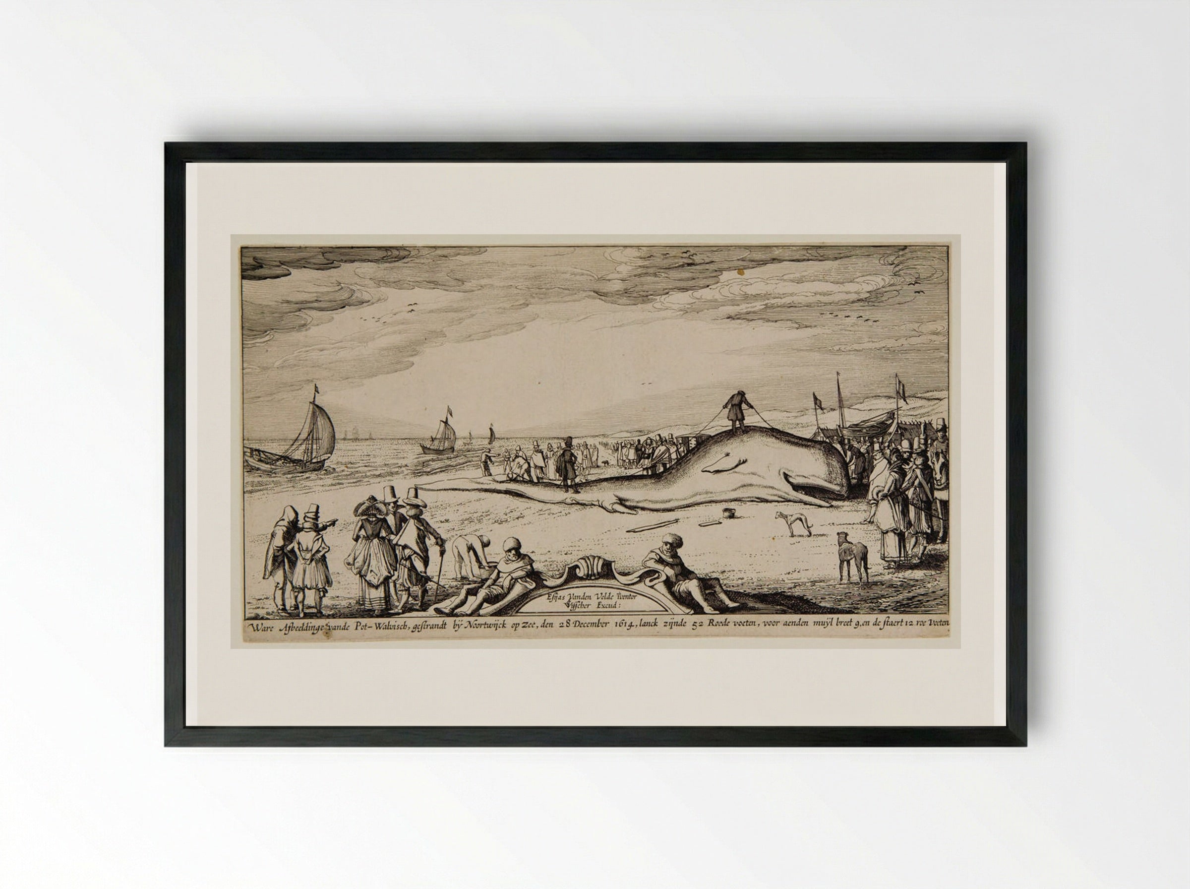 Beached Sperm Whale at Noordwijk - Claes Jansz. Visscher - Framed Print Black