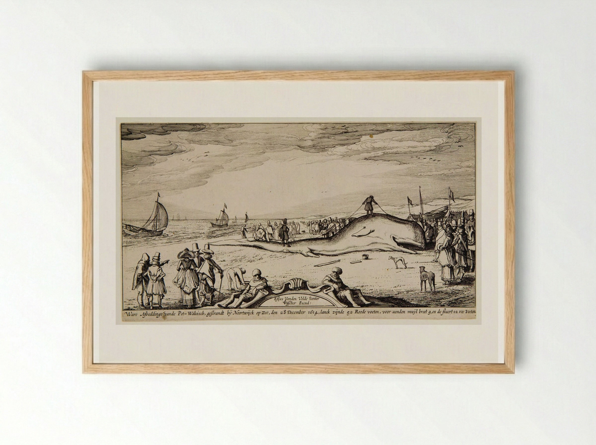 Beached Sperm Whale at Noordwijk - Claes Jansz. Visscher - Framed Print Wood