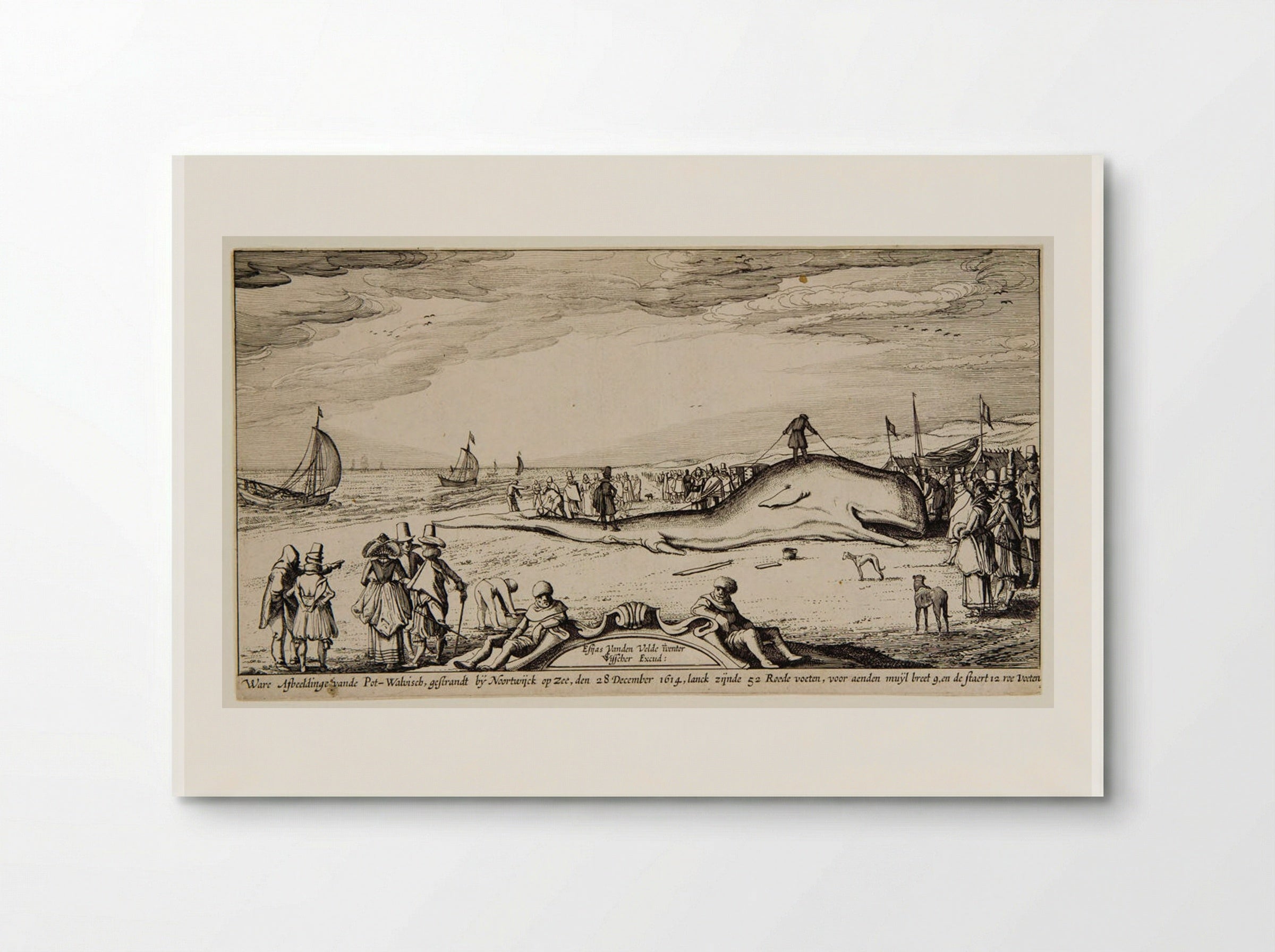 Beached Sperm Whale at Noordwijk - Claes Jansz. Visscher - Poster