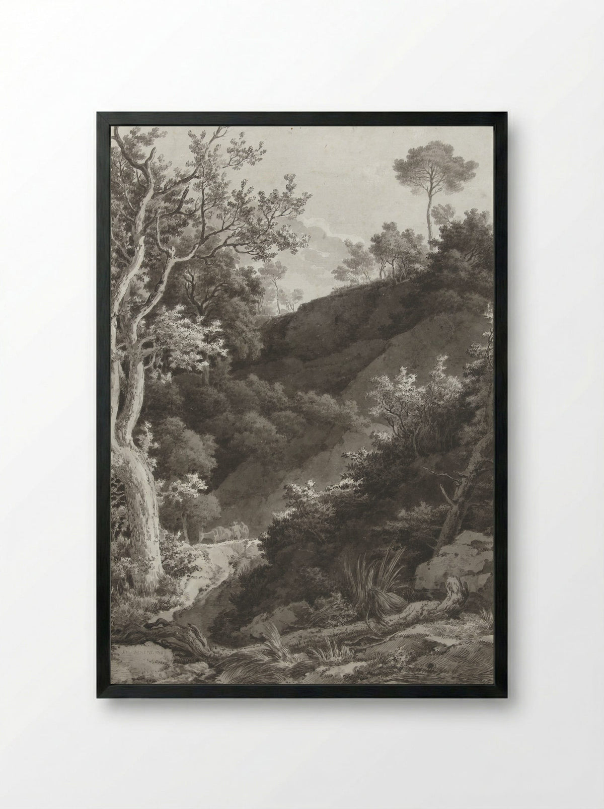 Beboste berghelling (Wooded Hillside) - Jacob Philipp Hackert - Framed Print Black