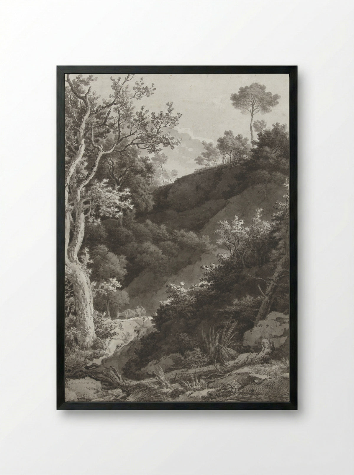 Beboste berghelling (Wooded Hillside) - Jacob Philipp Hackert - Framed Print Black