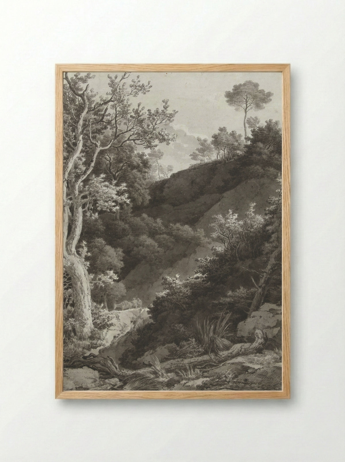 Beboste berghelling (Wooded Hillside) - Jacob Philipp Hackert - Framed Print Wood