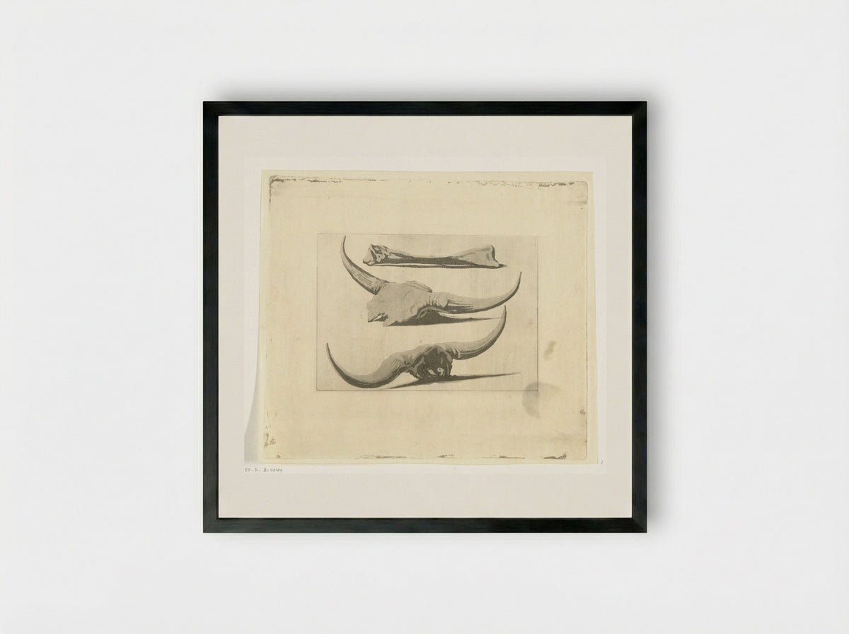 Beenderen van een os - Anthonie van den Bos - Framed Print Black