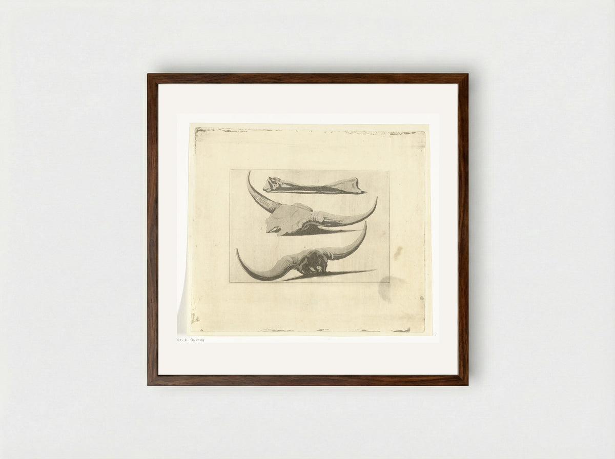 Beenderen van een os - Anthonie van den Bos - Framed Print Dark Wood