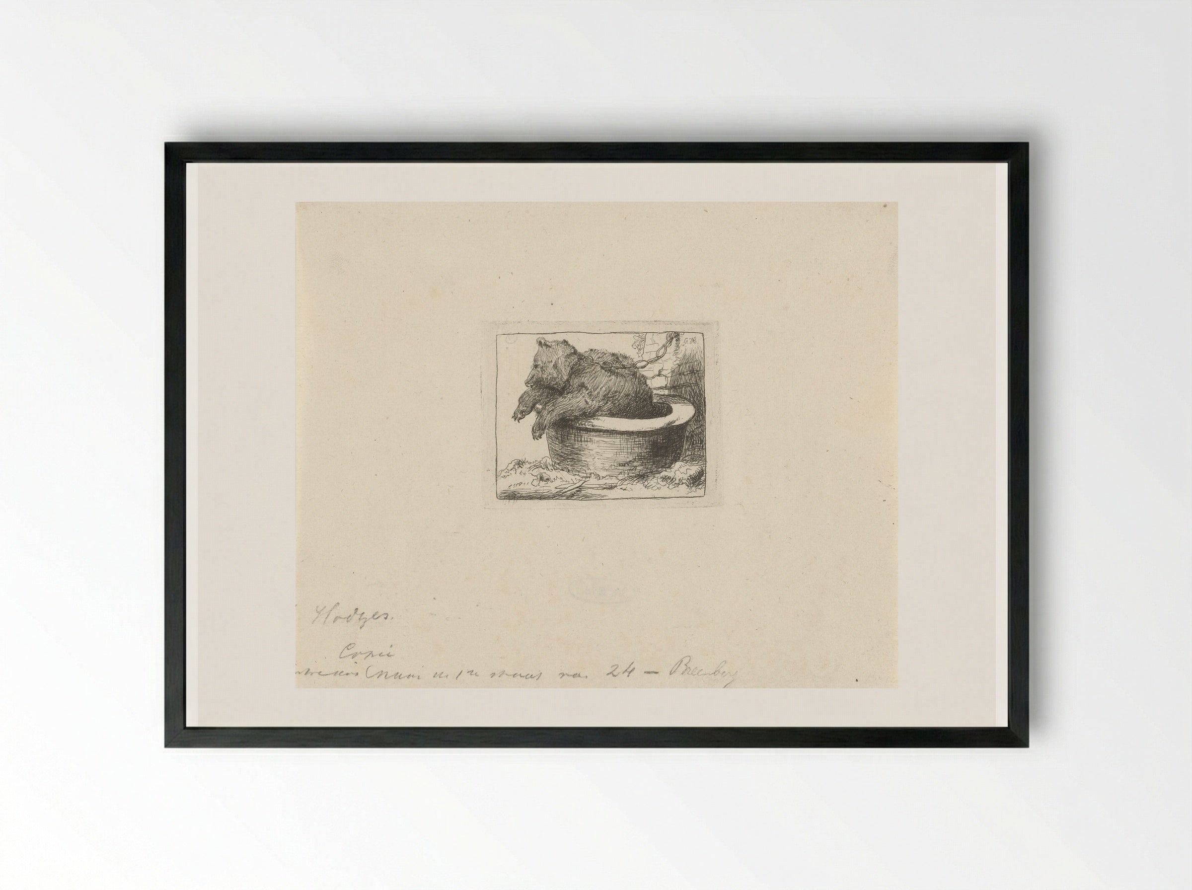 Beer in een bak (Bear in a Tub) - Charles Howard Hodges - Framed Print Black
