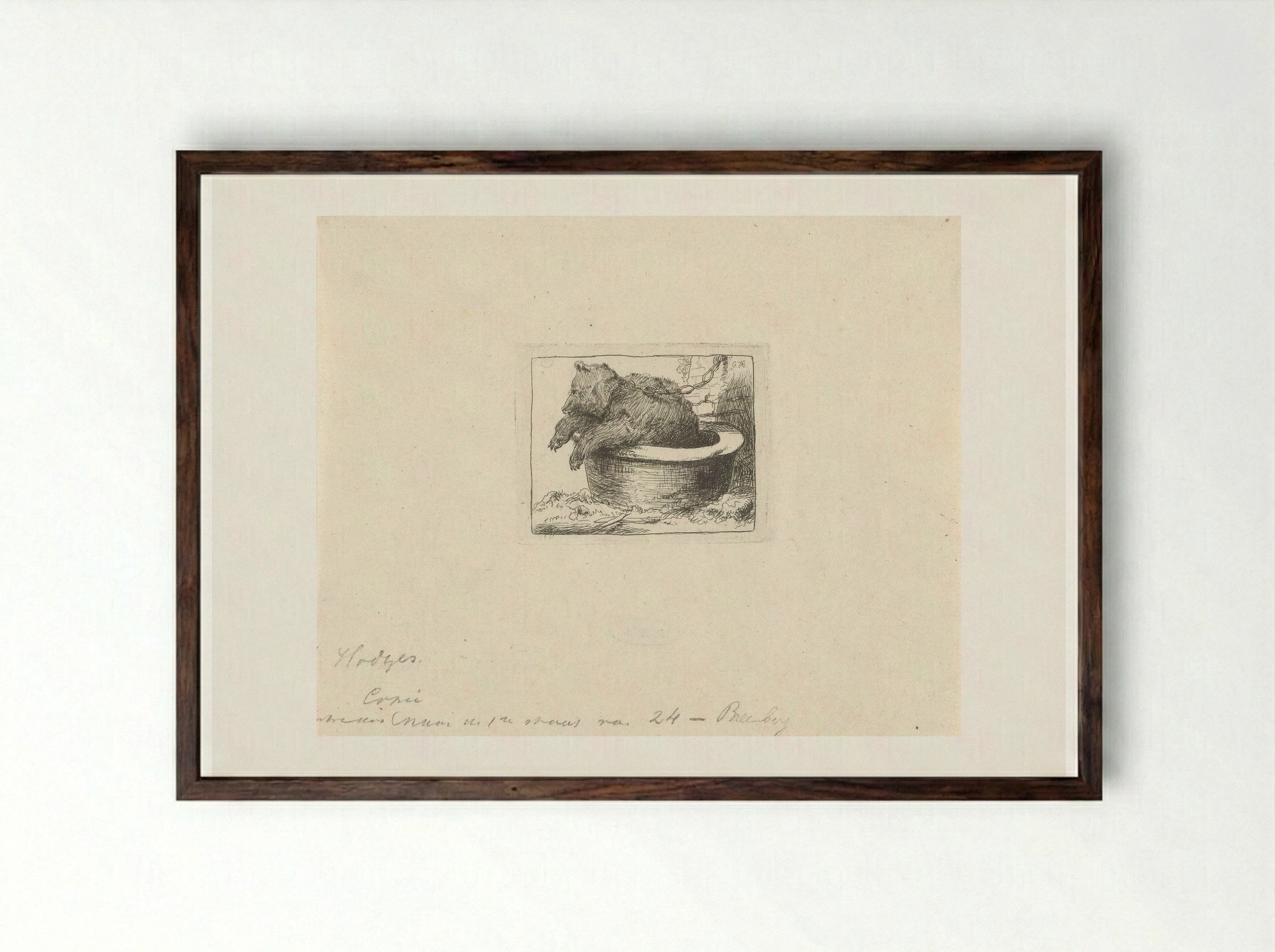 Beer in een bak (Bear in a Tub) - Charles Howard Hodges - Framed Print Dark Wood