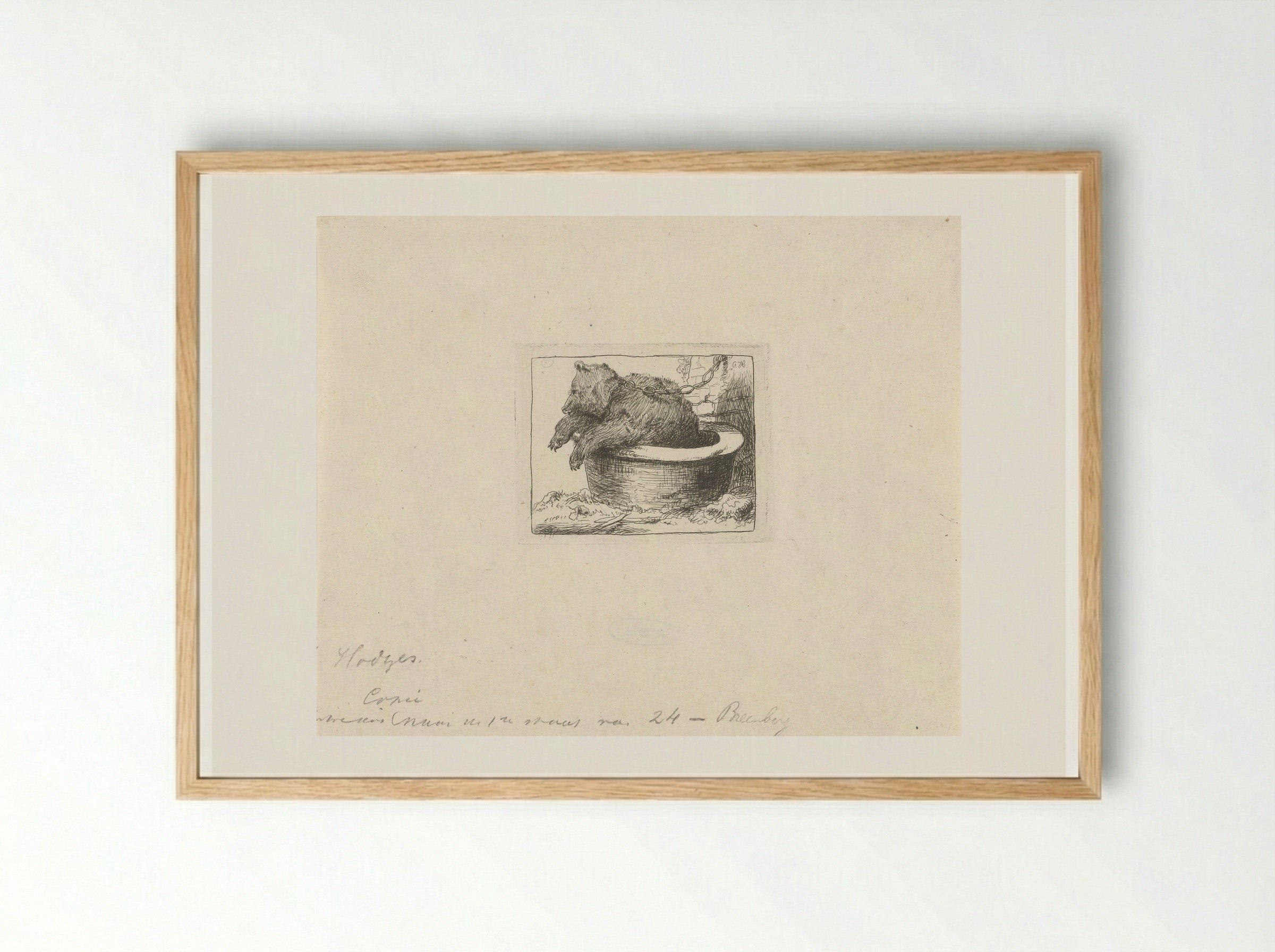 Beer in een bak (Bear in a Tub) - Charles Howard Hodges - Framed Print Wood