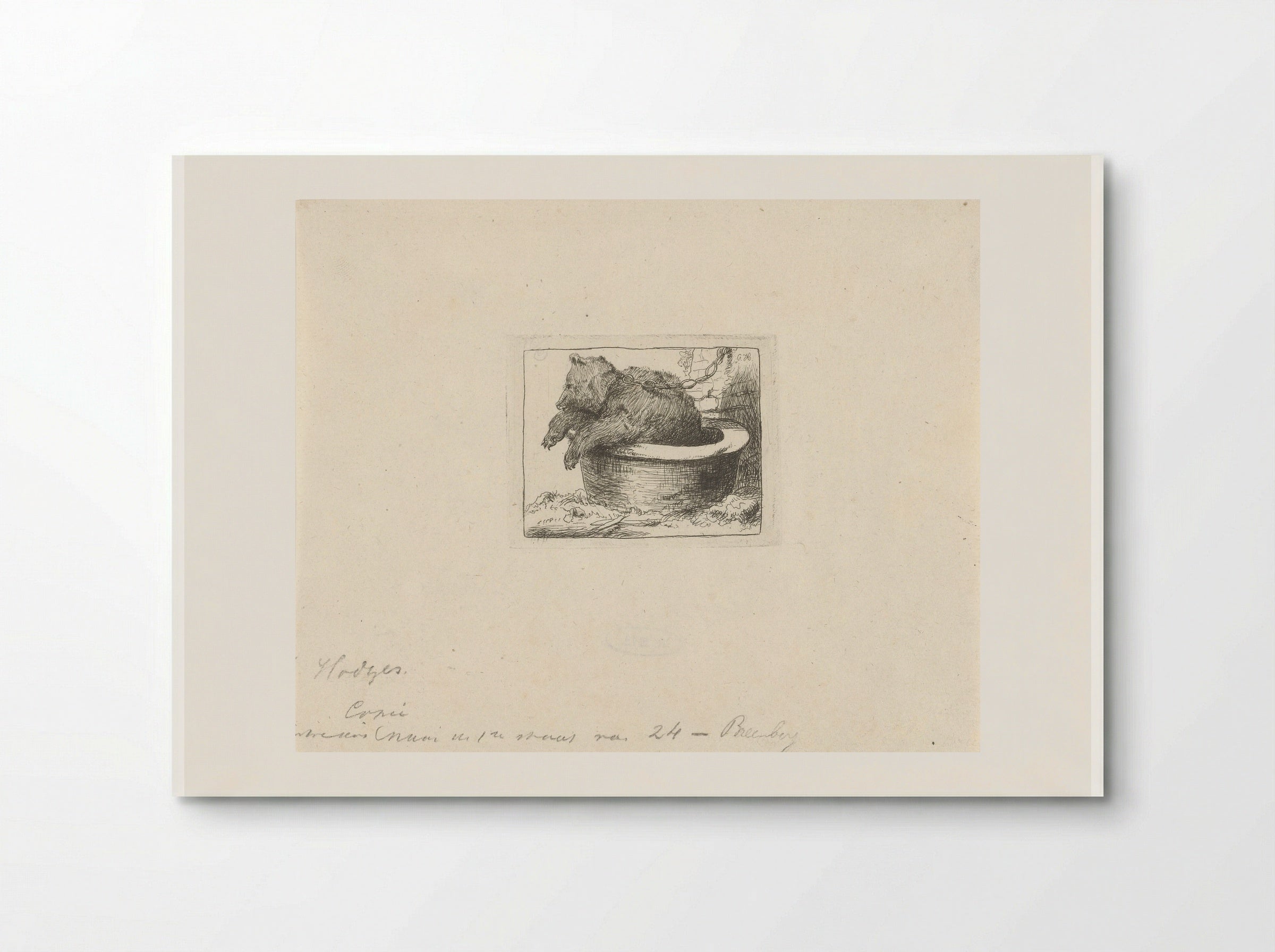 Beer in een bak (Bear in a Tub) - Charles Howard Hodges - Poster
