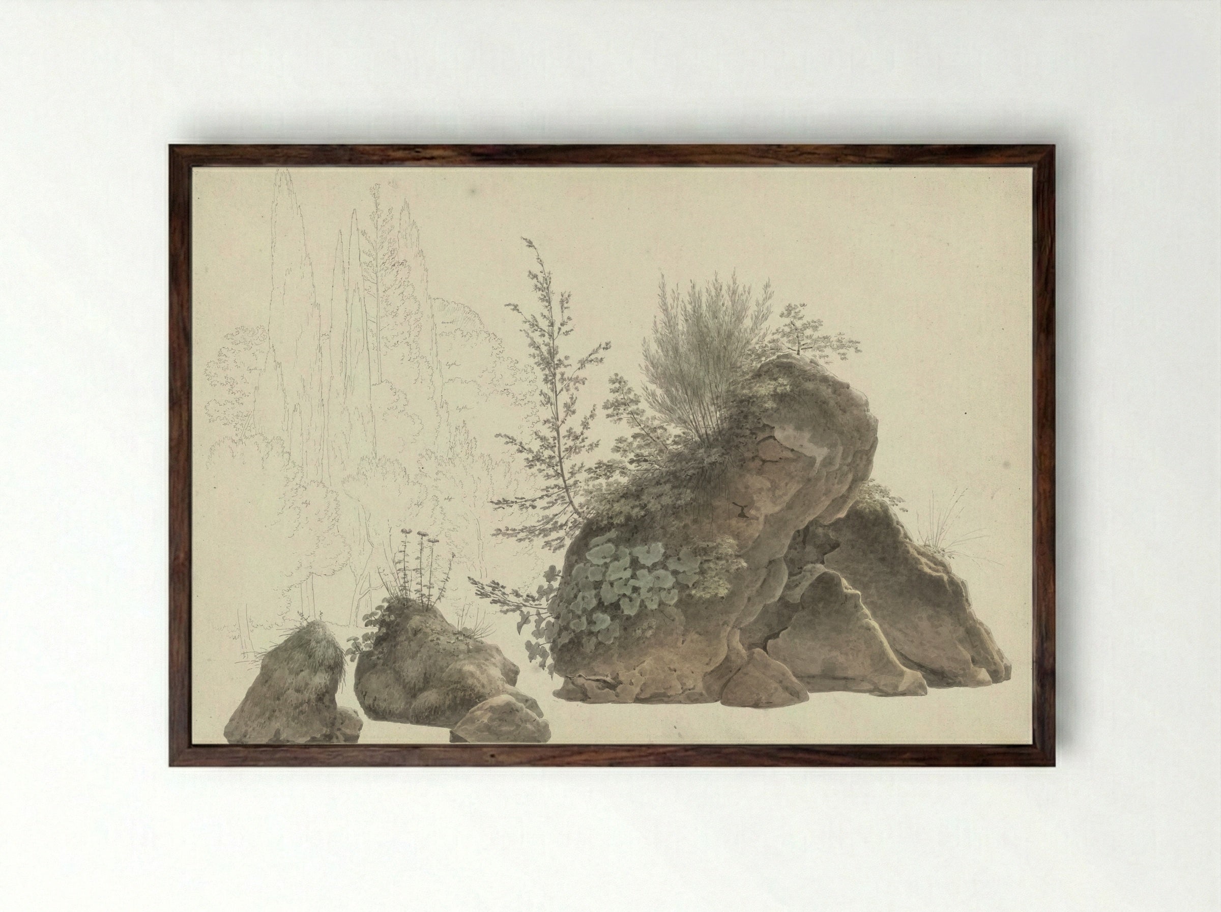 Begroeide rotsen - Josephus Augustus Knip - Framed Print Dark Wood