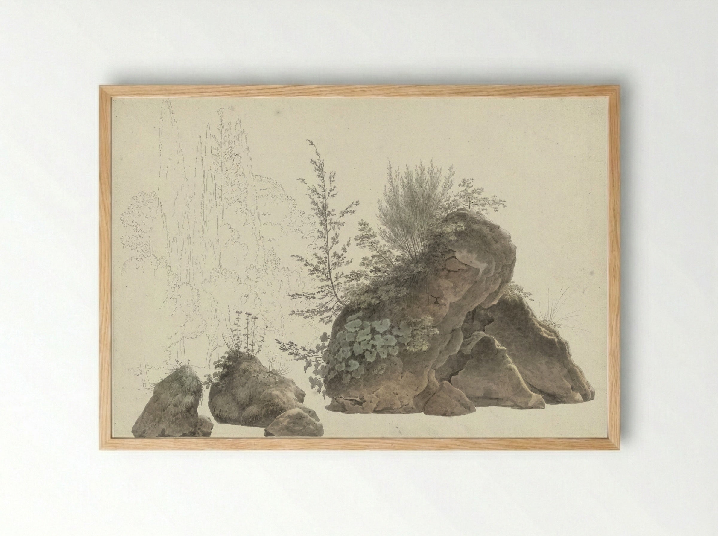 Begroeide rotsen - Josephus Augustus Knip - Framed Print Wood