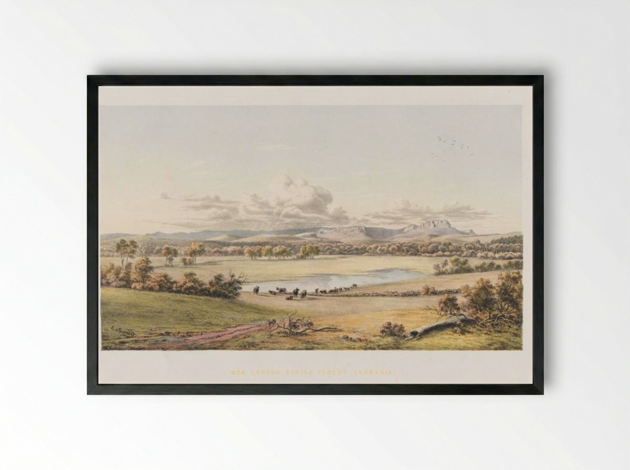 Ben Lomond, Epping Forest, Tasmania - Eugene von Guerard - Framed Print Black