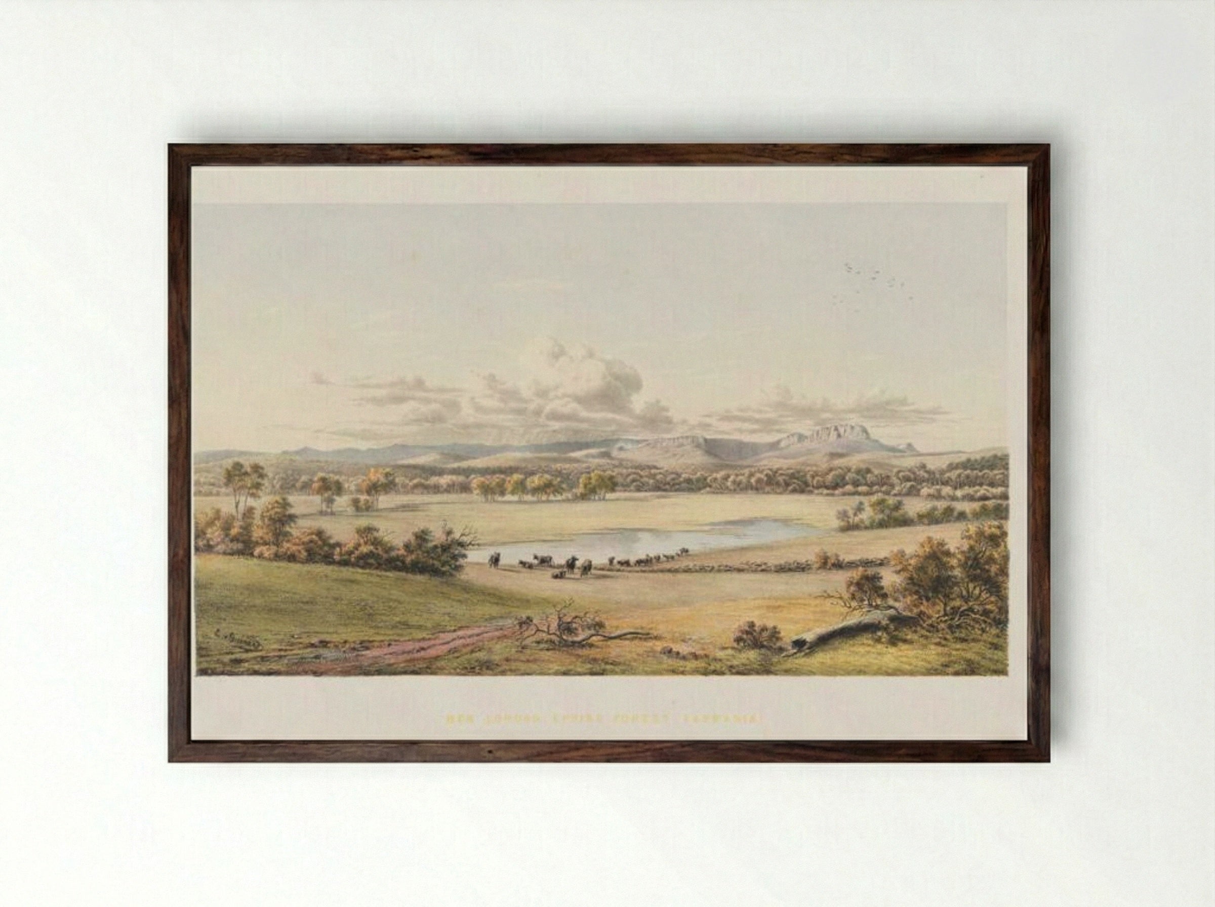 Ben Lomond, Epping Forest, Tasmania - Eugene von Guerard - Framed Print Dark Wood
