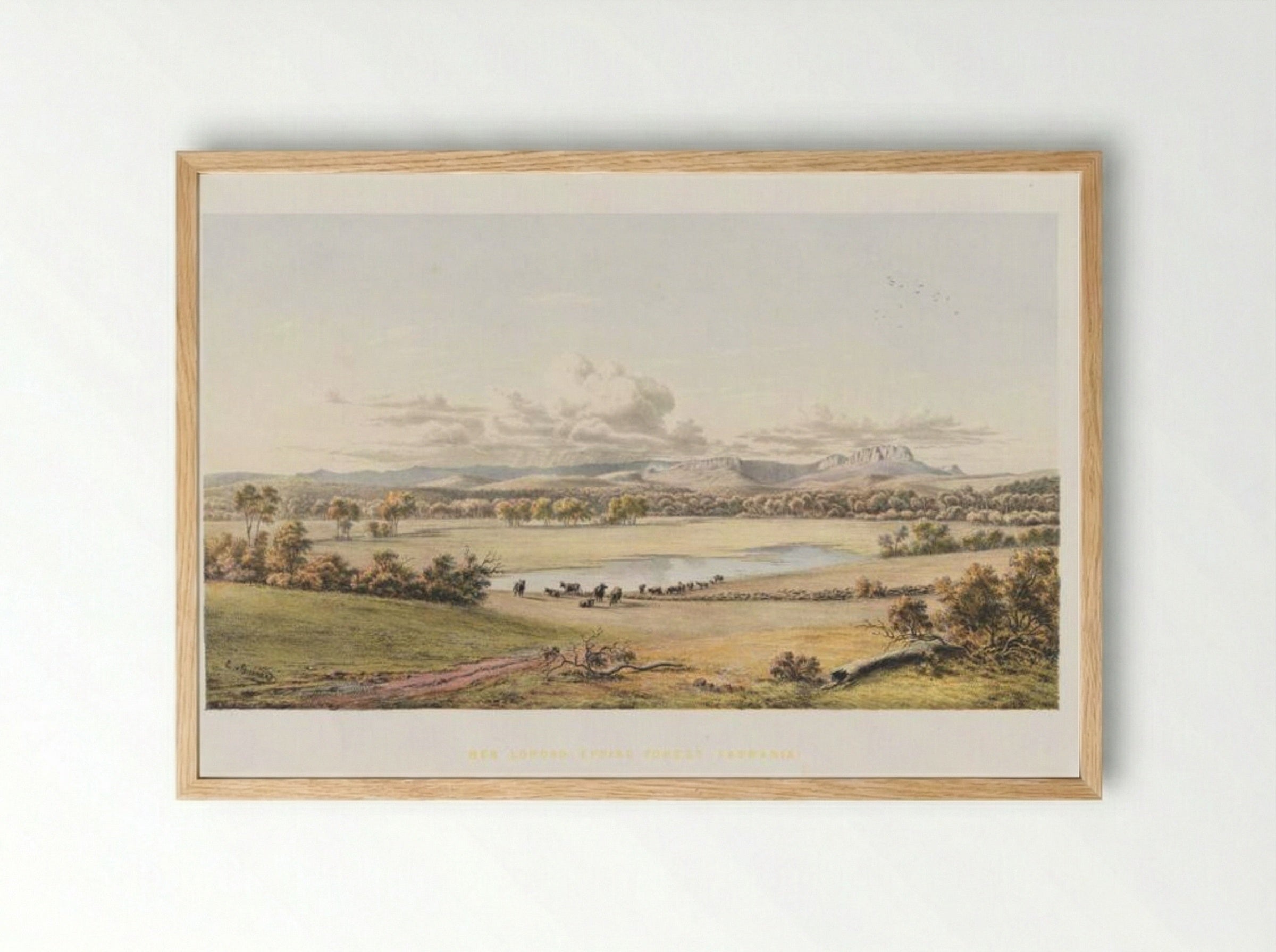 Ben Lomond, Epping Forest, Tasmania - Eugene von Guerard - Framed Print Wood