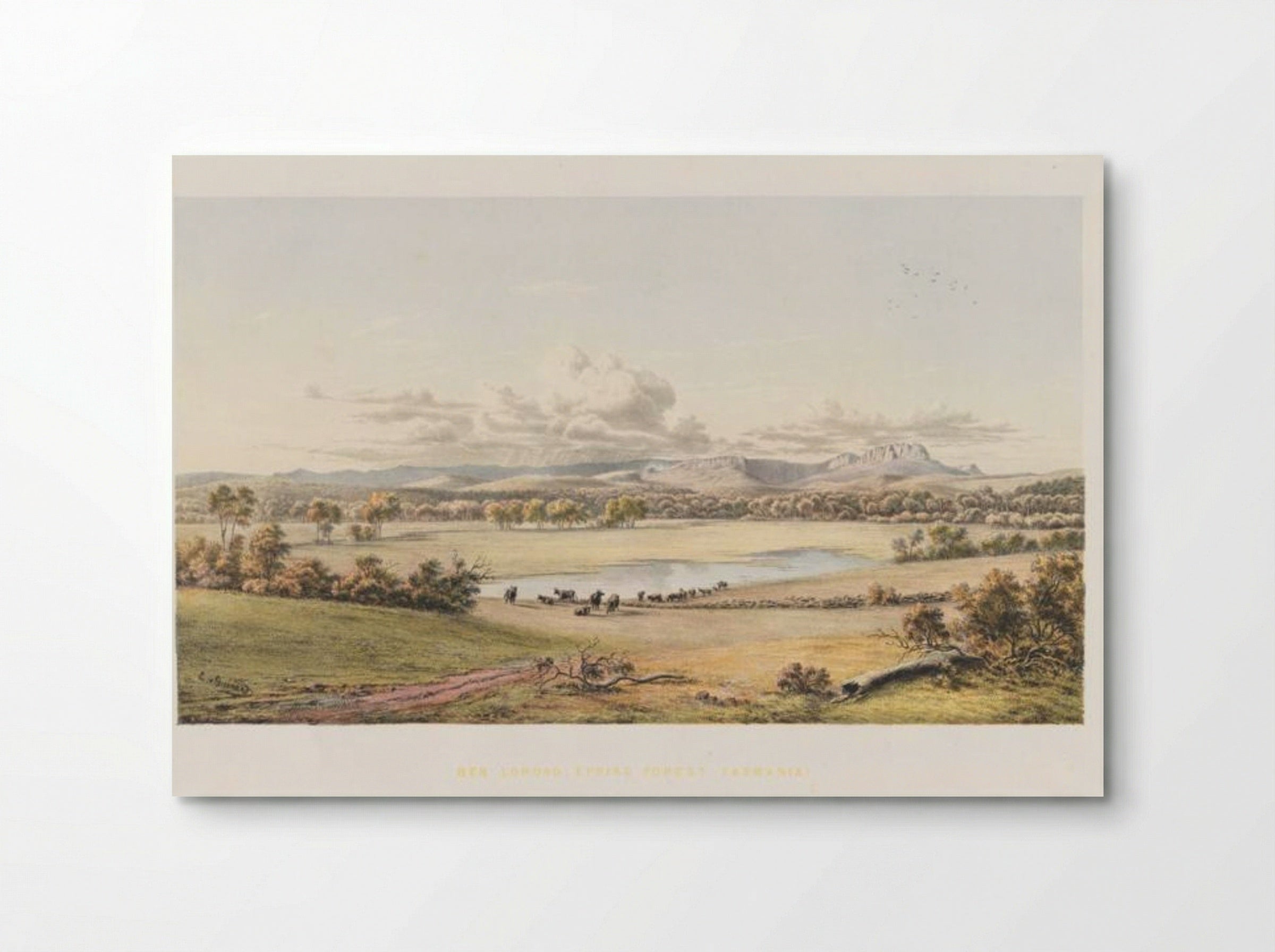 Ben Lomond, Epping Forest, Tasmania - Eugene von Guerard - Poster