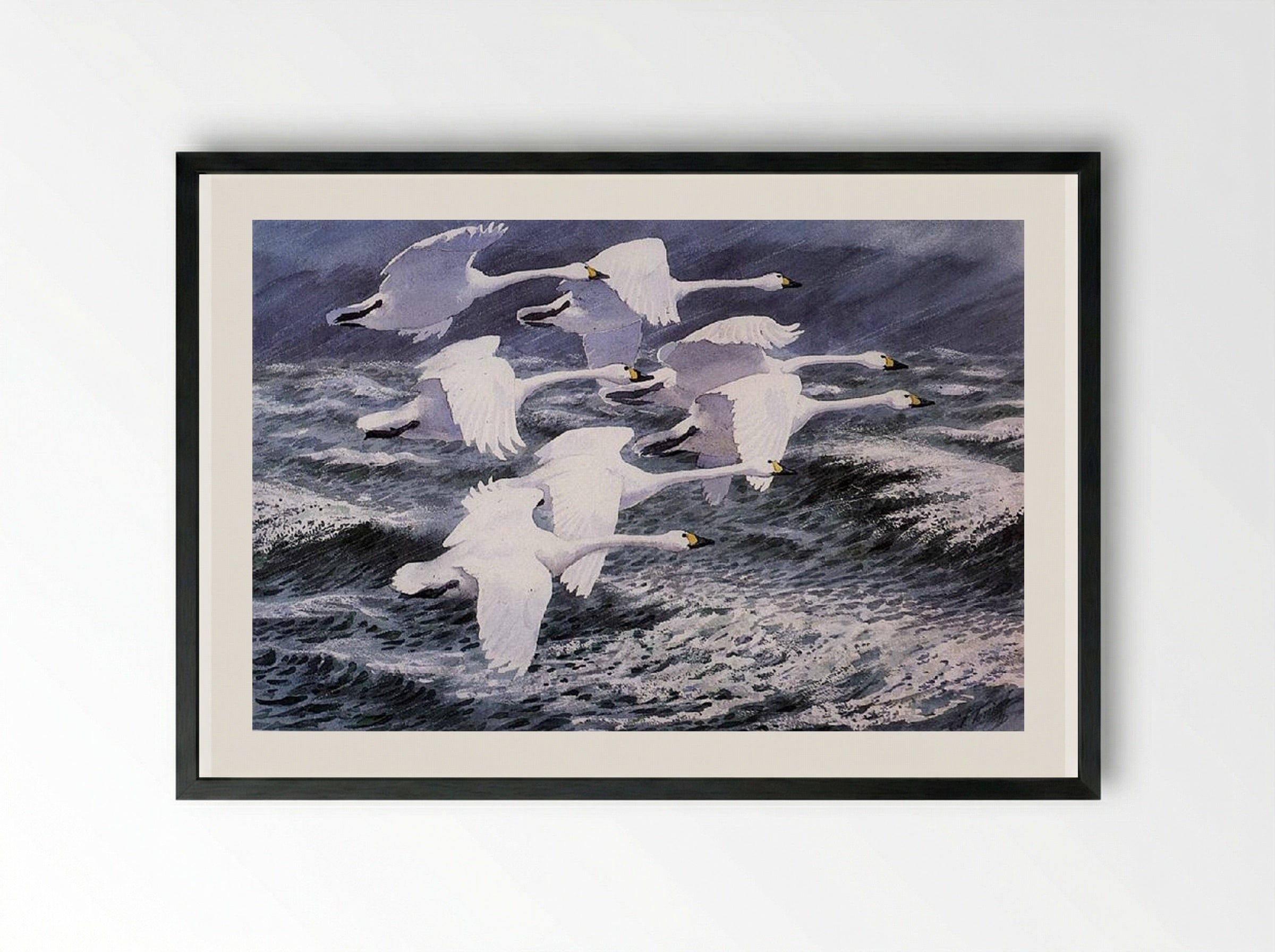 Berwick Swans - Charles Tunnicliffe - Framed Print Black