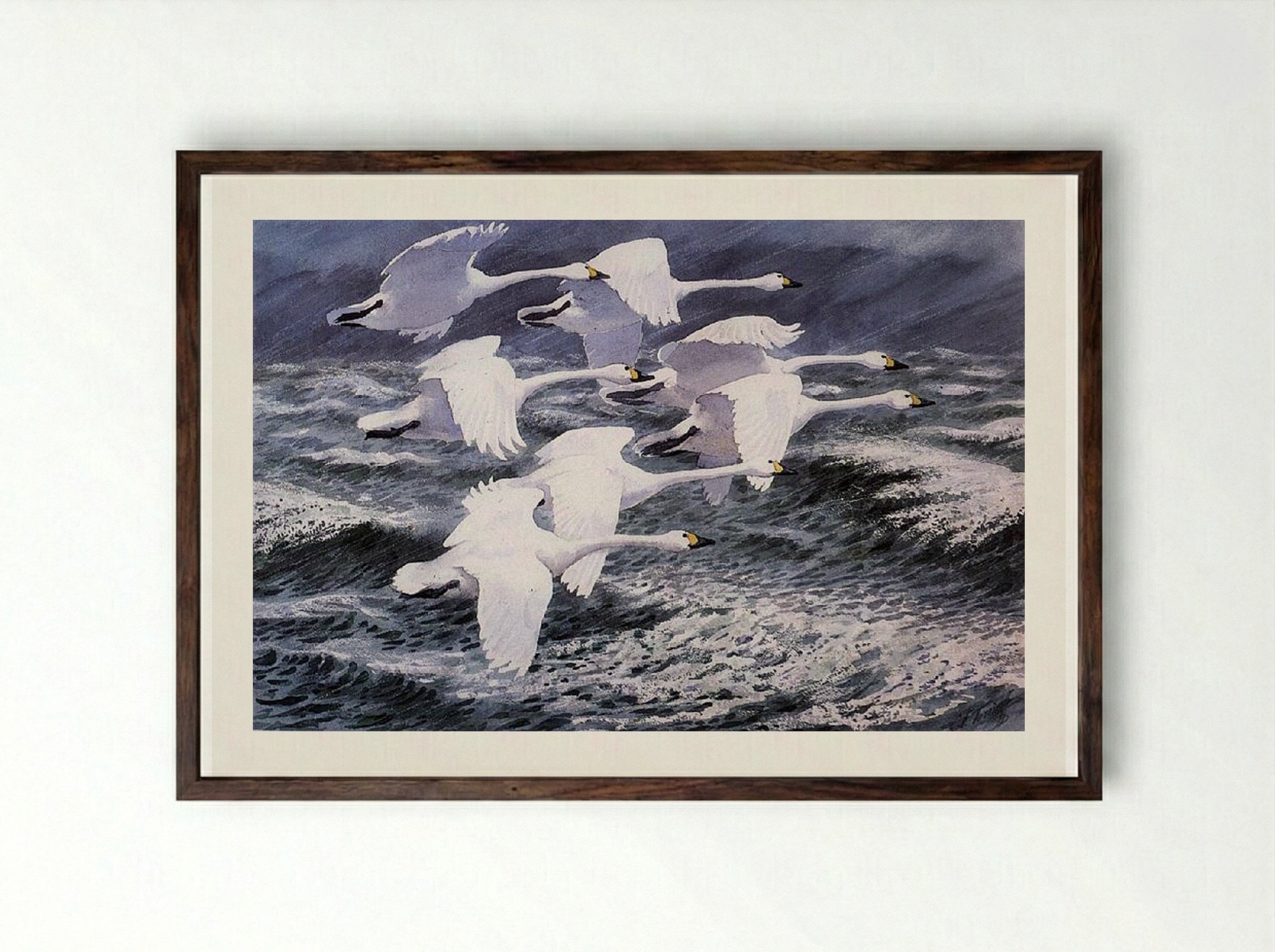 Berwick Swans - Charles Tunnicliffe - Framed Print Dark Wood