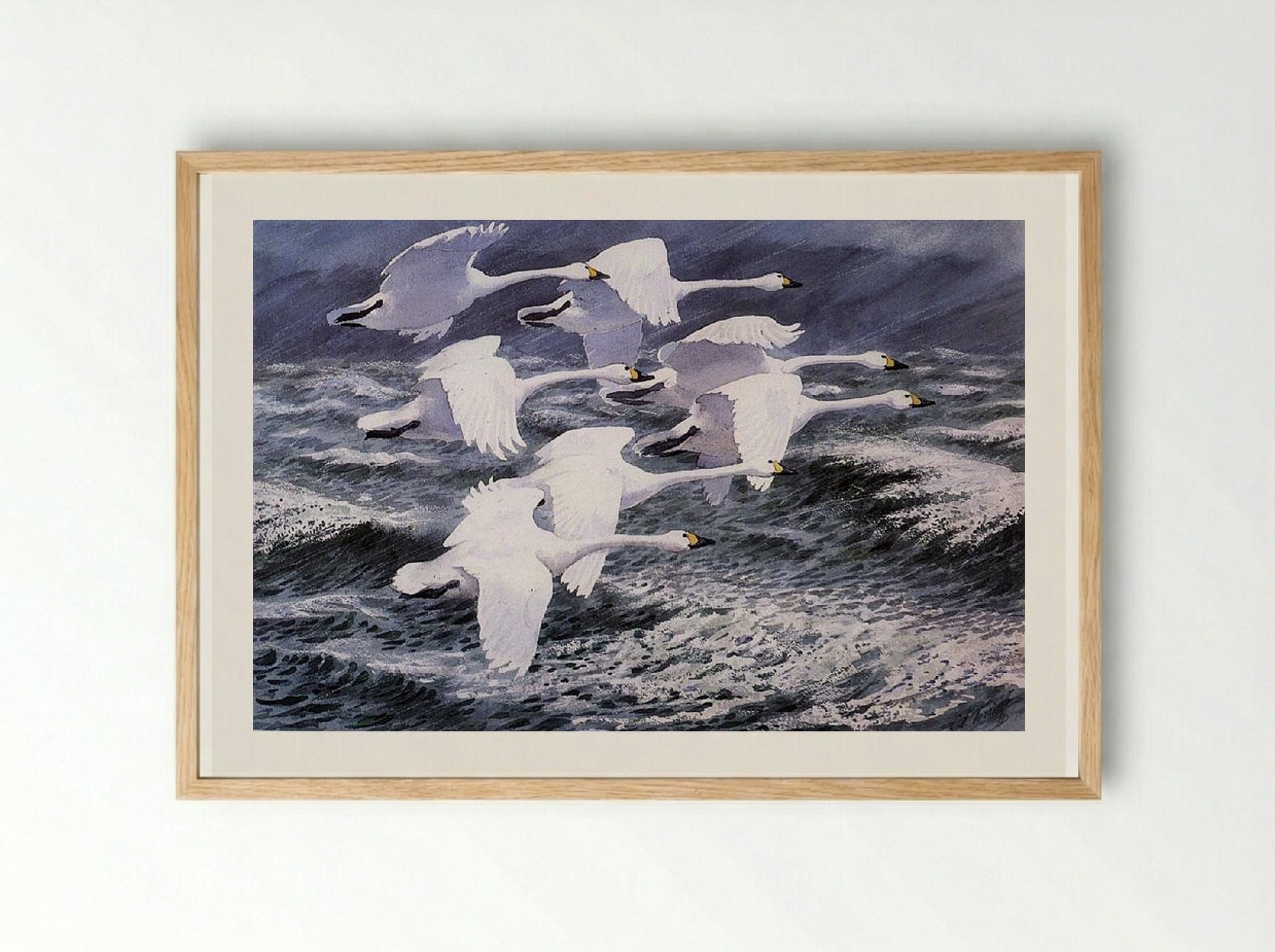 Berwick Swans - Charles Tunnicliffe - Framed Print Wood