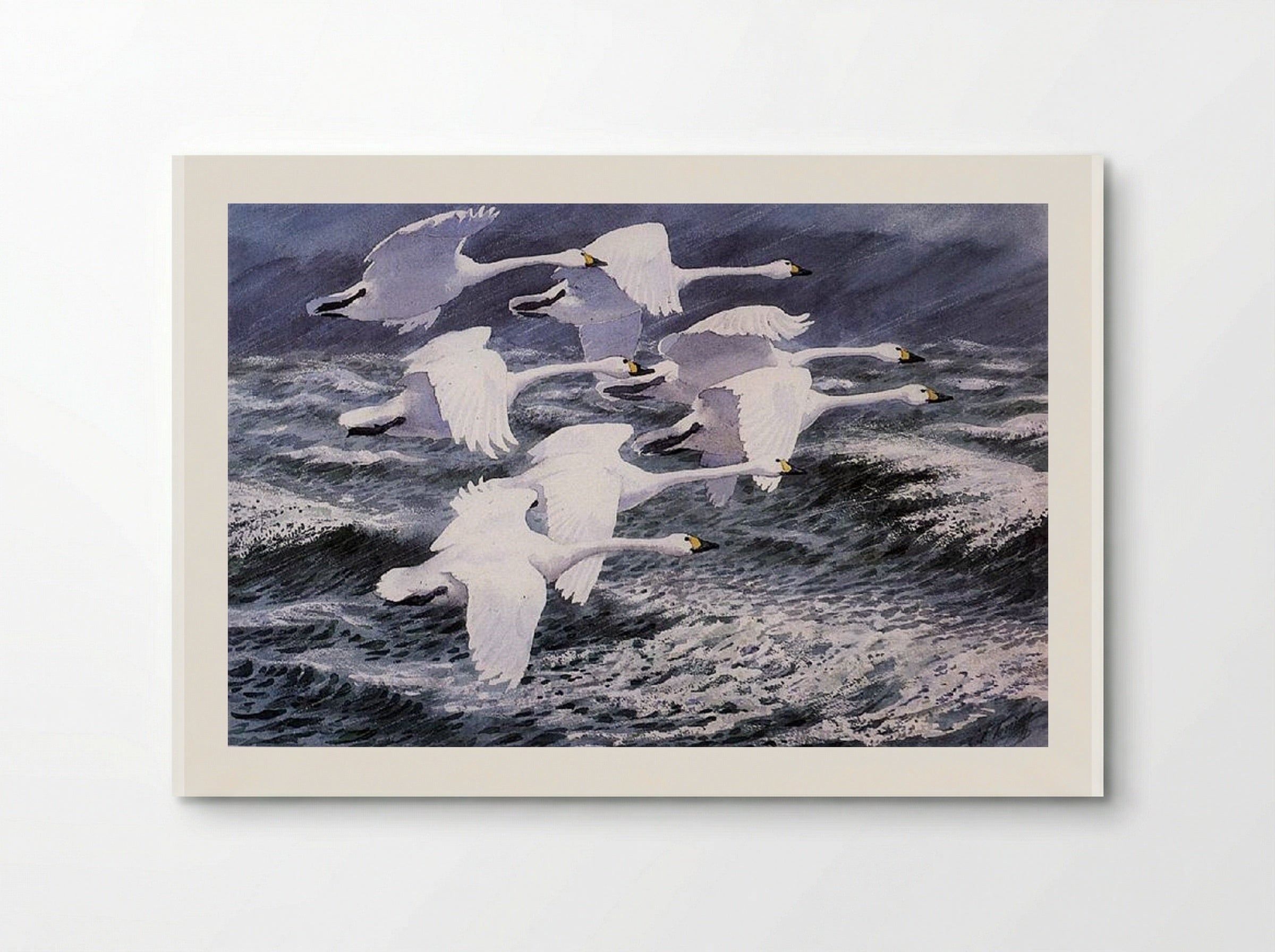 Berwick Swans - Charles Tunnicliffe - Poster