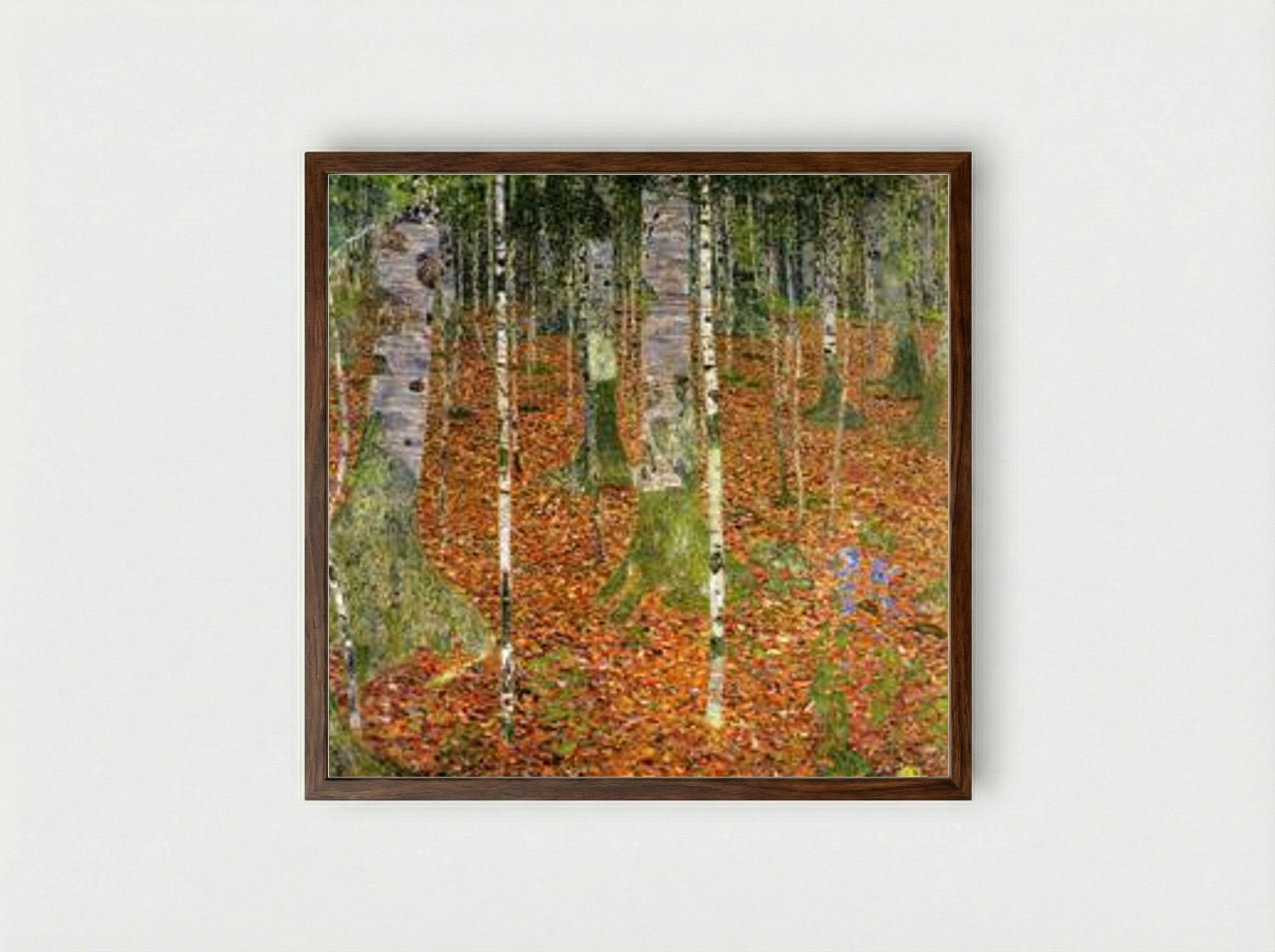 Birch Forest - Gustav Klimt - Framed Print Dark Wood