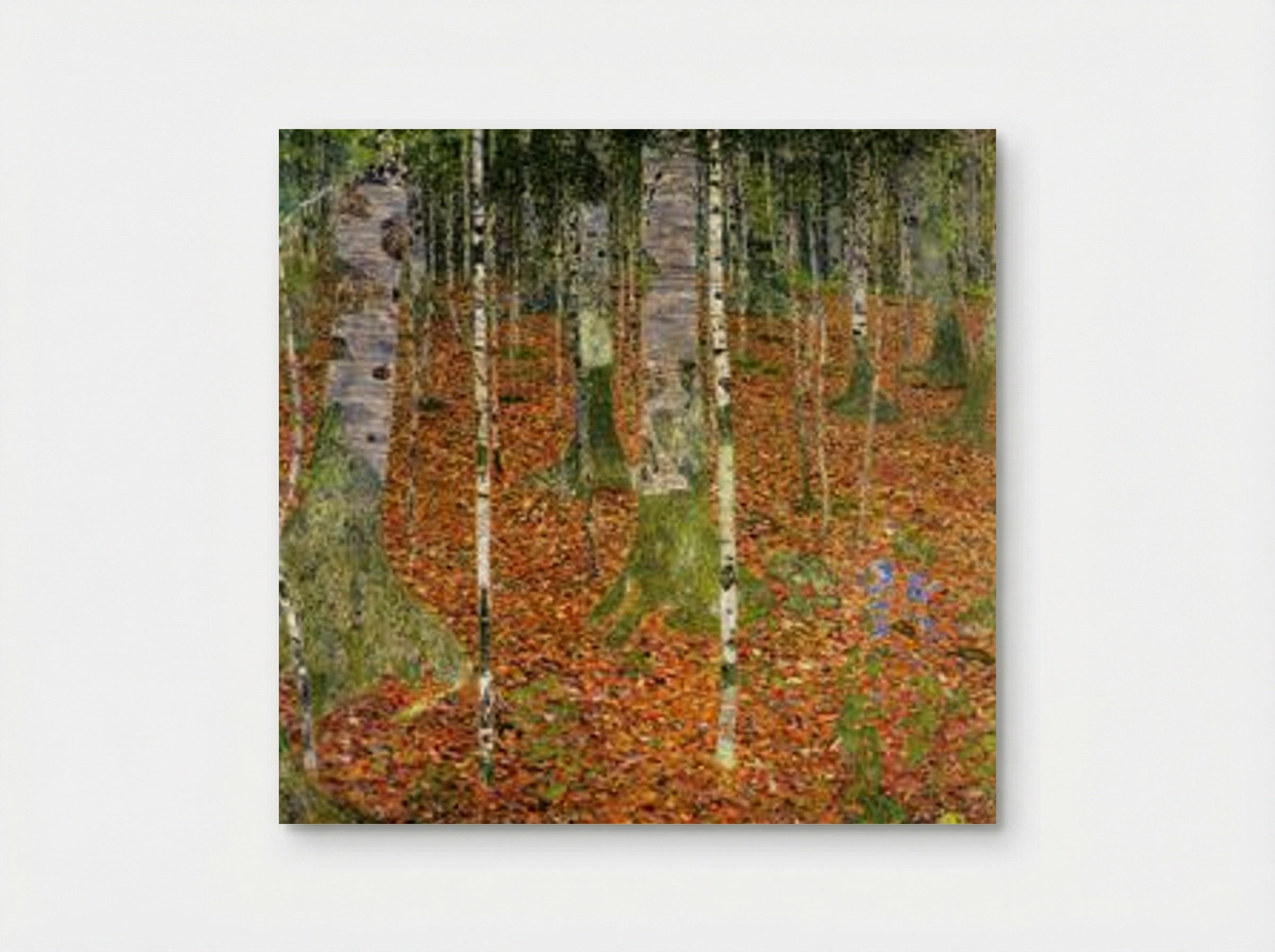 Birch Forest - Gustav Klimt - Poster