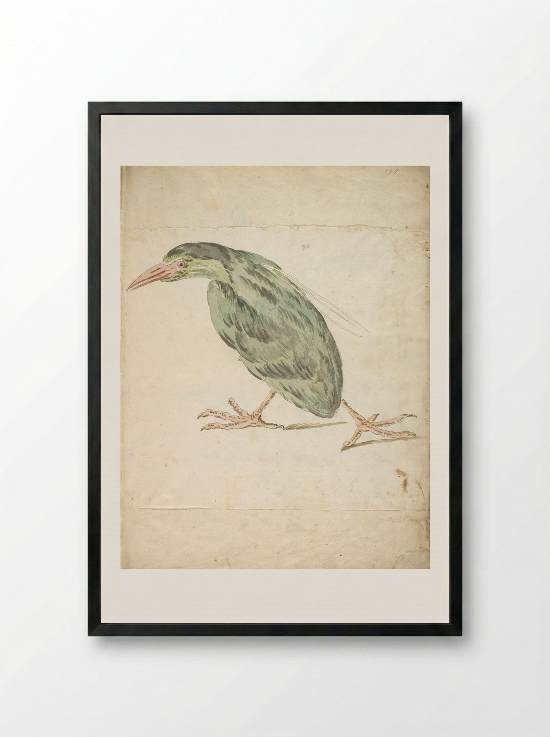 Bird Walking to the Left - Jean-Baptiste Oudry - Framed Print Black