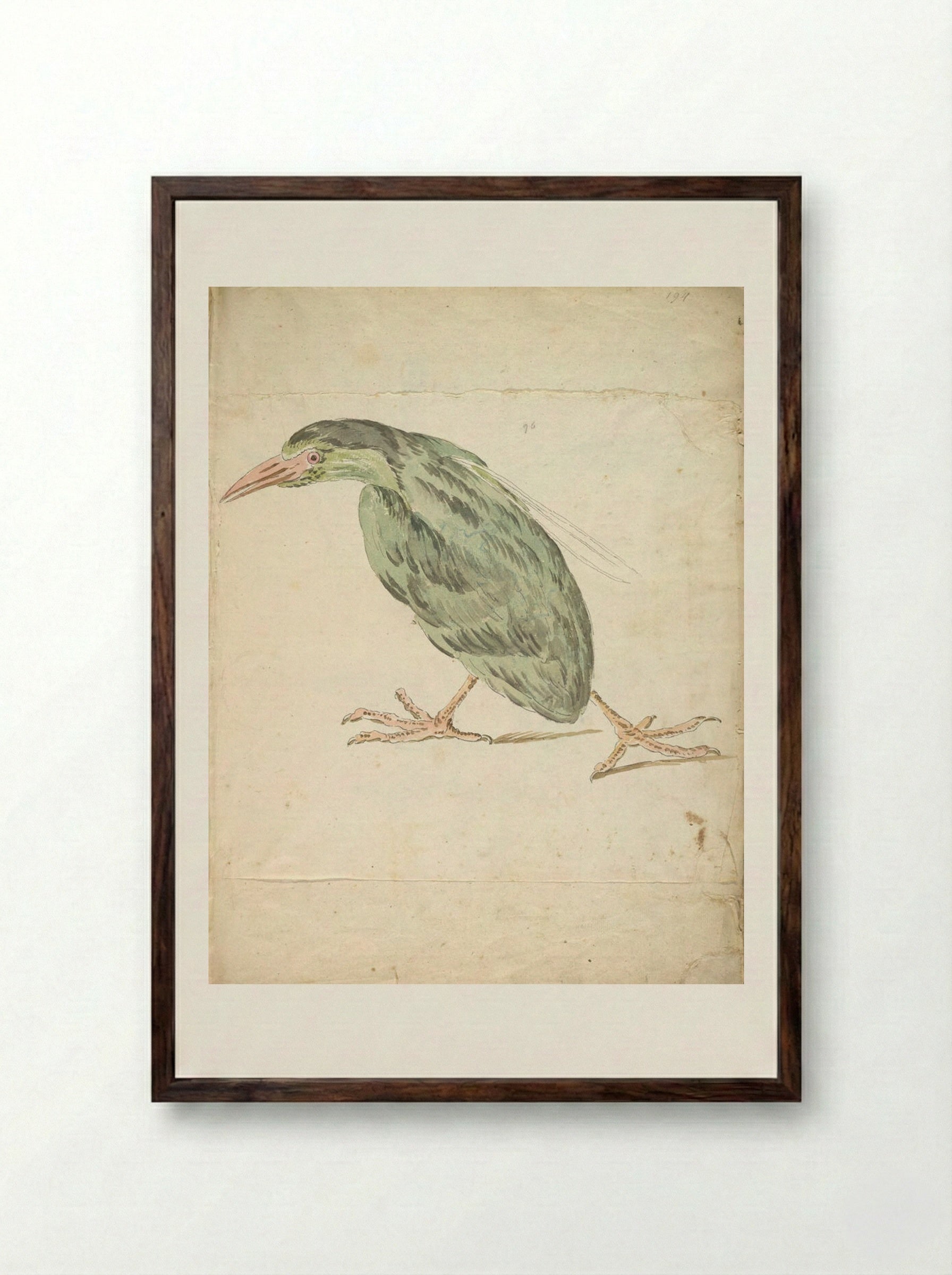 Bird Walking to the Left - Jean-Baptiste Oudry - Framed Print Dark Wood