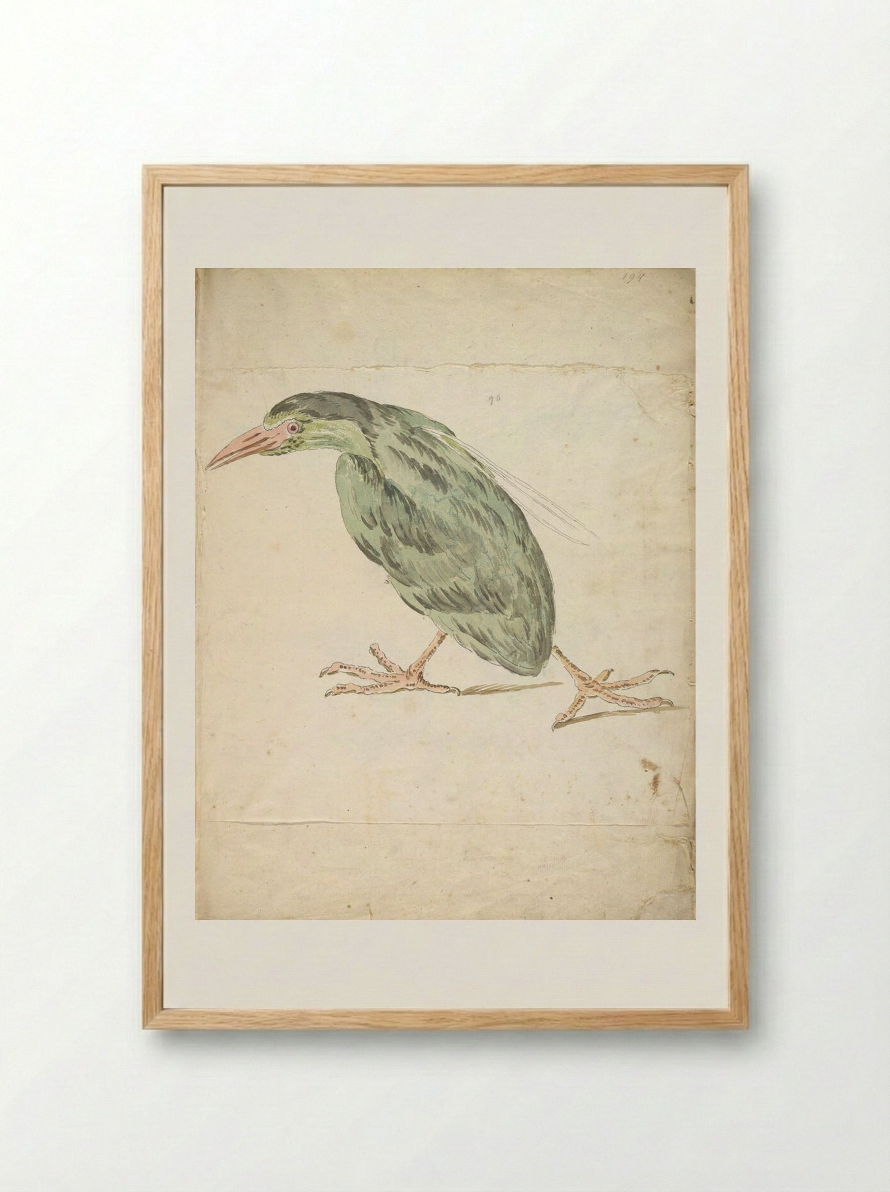 Bird Walking to the Left - Jean-Baptiste Oudry - Framed Print Wood