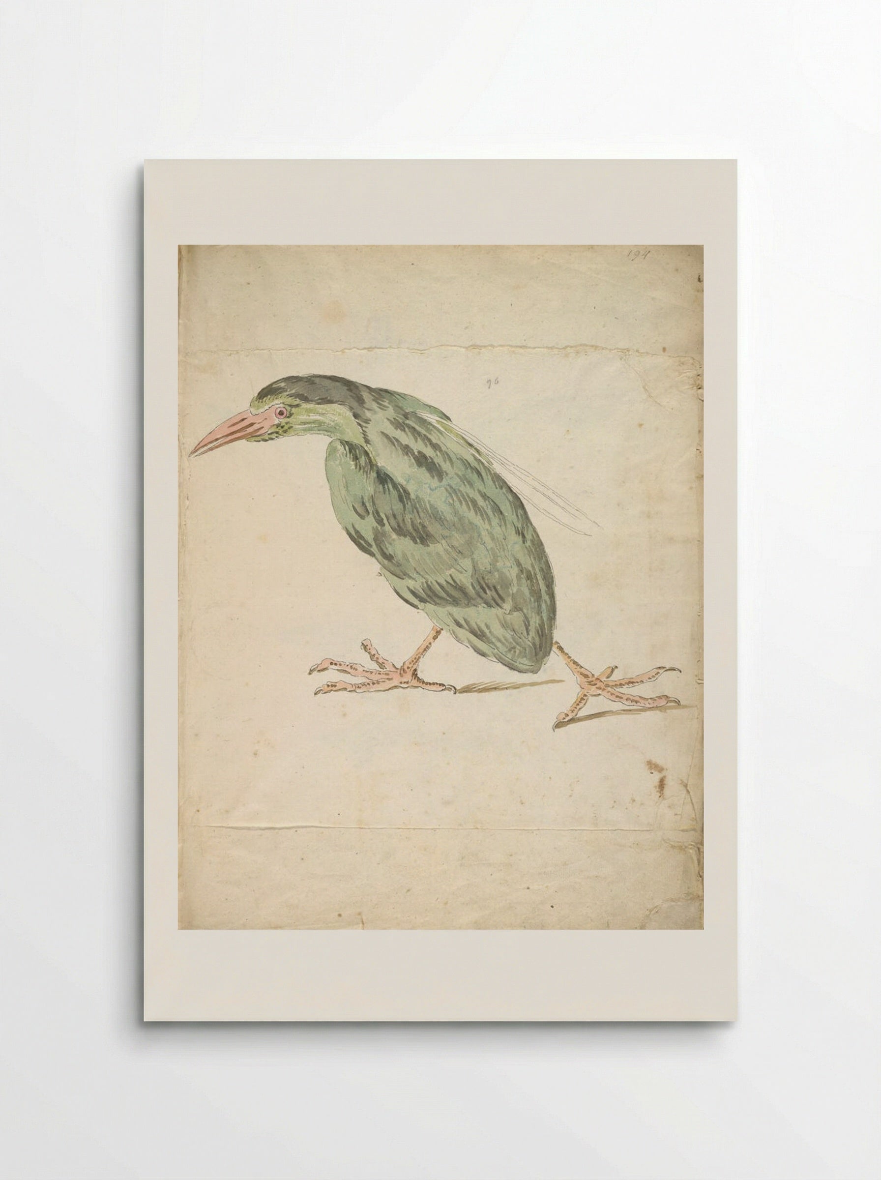Bird Walking to the Left - Jean-Baptiste Oudry - Poster