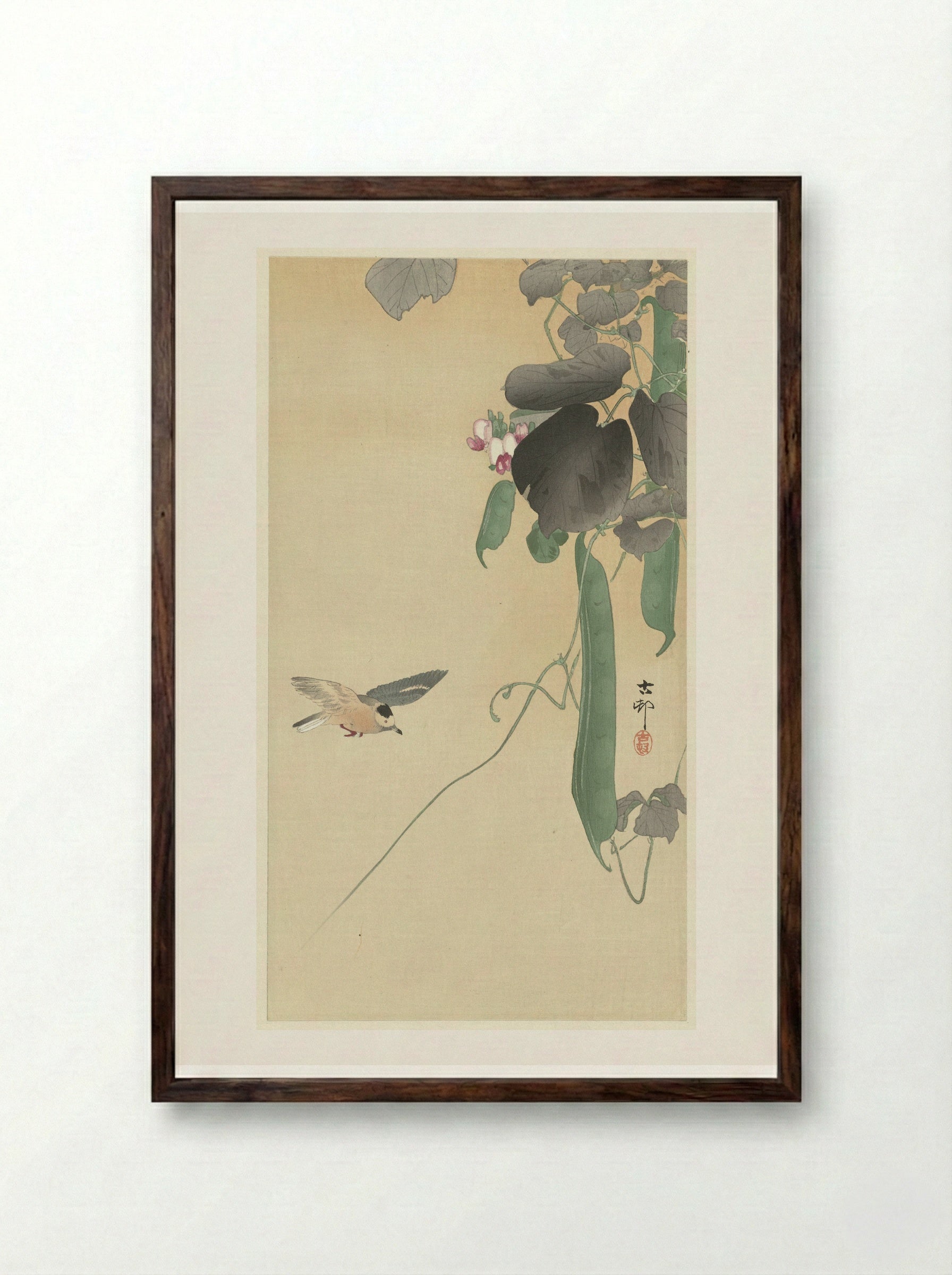 Bird with Flowering Bean Plant - Matsuki Heikichi - Framed Print Dark Wood