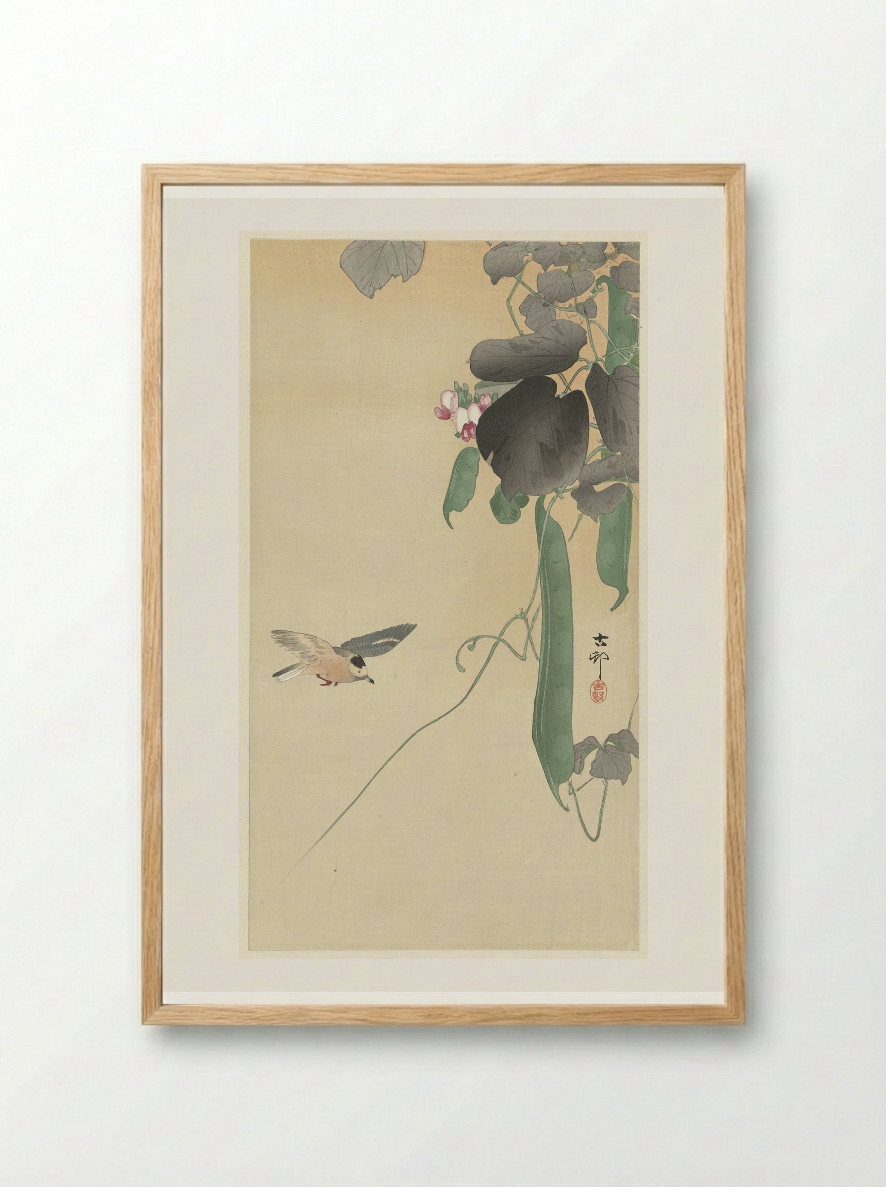 Bird with Flowering Bean Plant - Matsuki Heikichi - Framed Print Wood