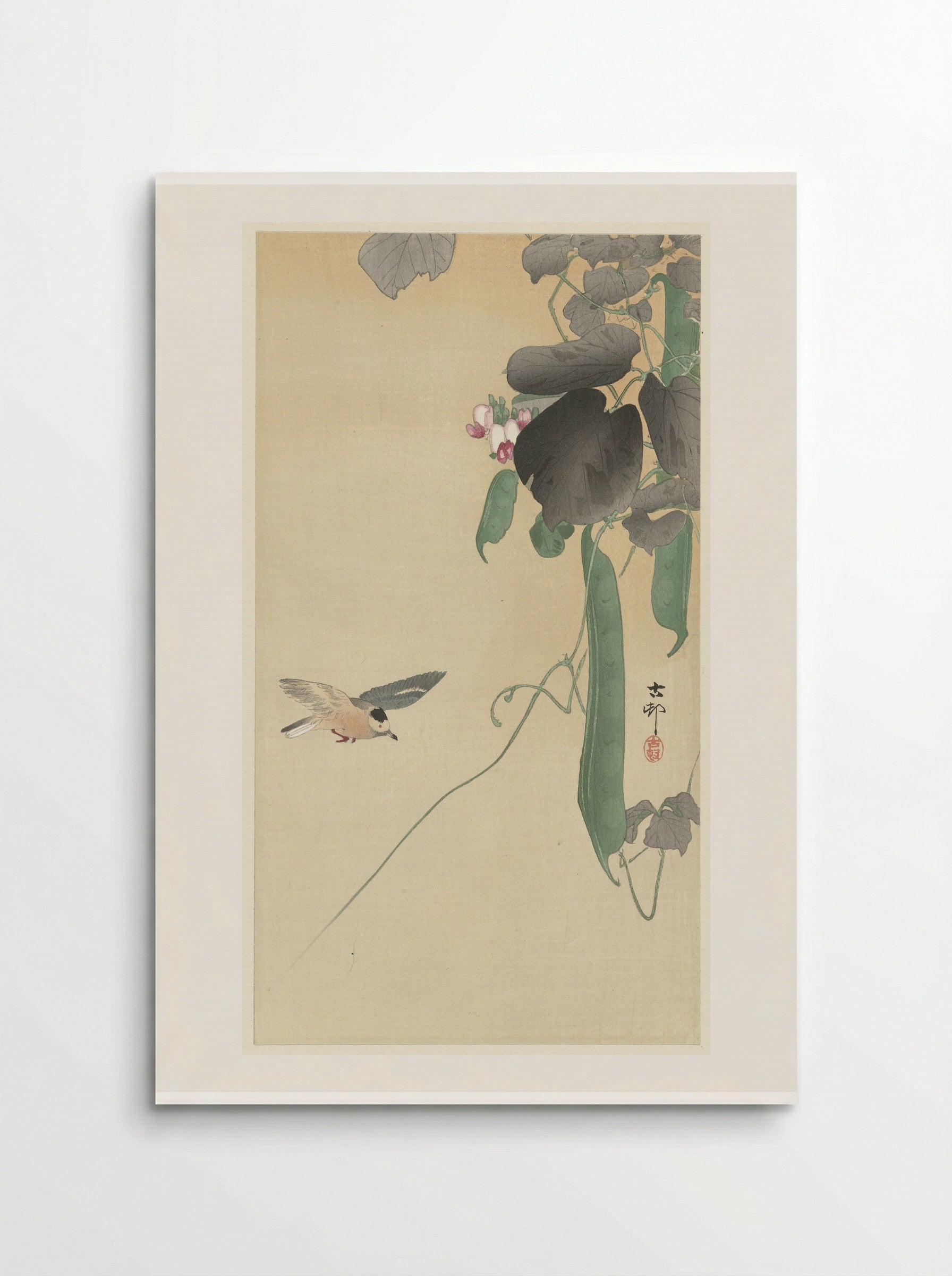 Bird with Flowering Bean Plant - Matsuki Heikichi - Poster