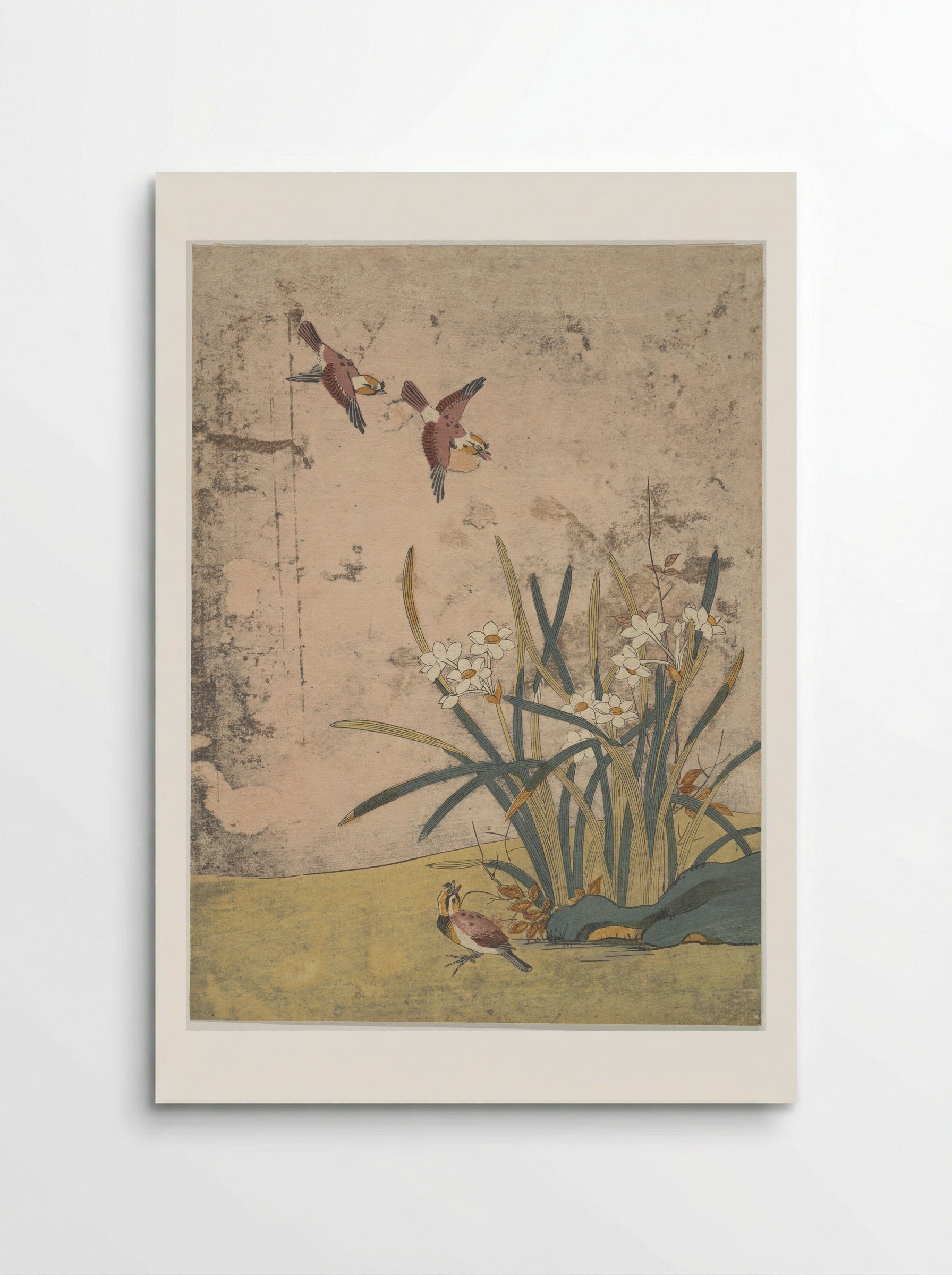 Birds and Narcissus - Suzuki Harunobu - Poster