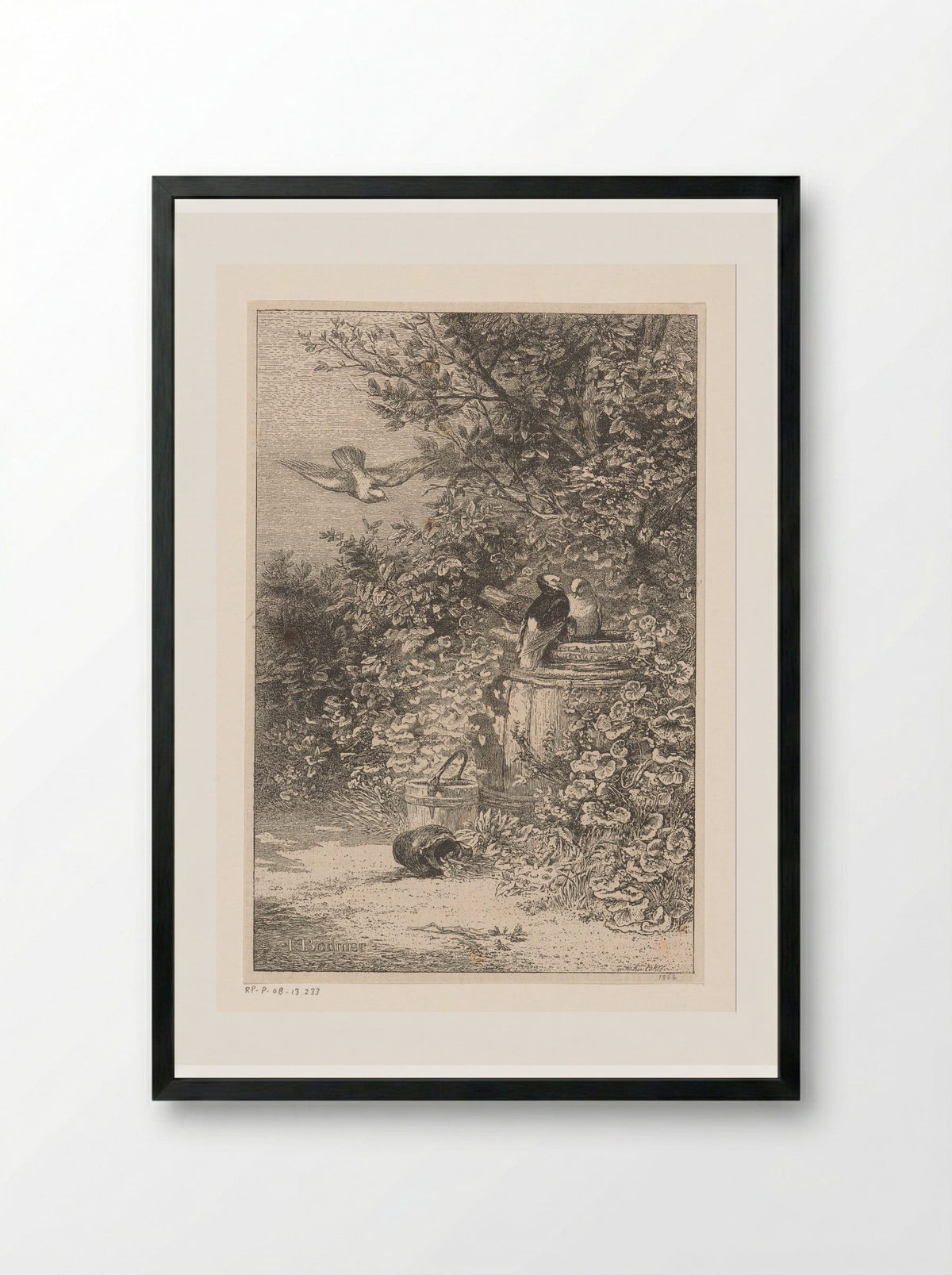 Birds by a Rain Barrel in the Undergrowth - Karl Bodmer - Framed Print Black